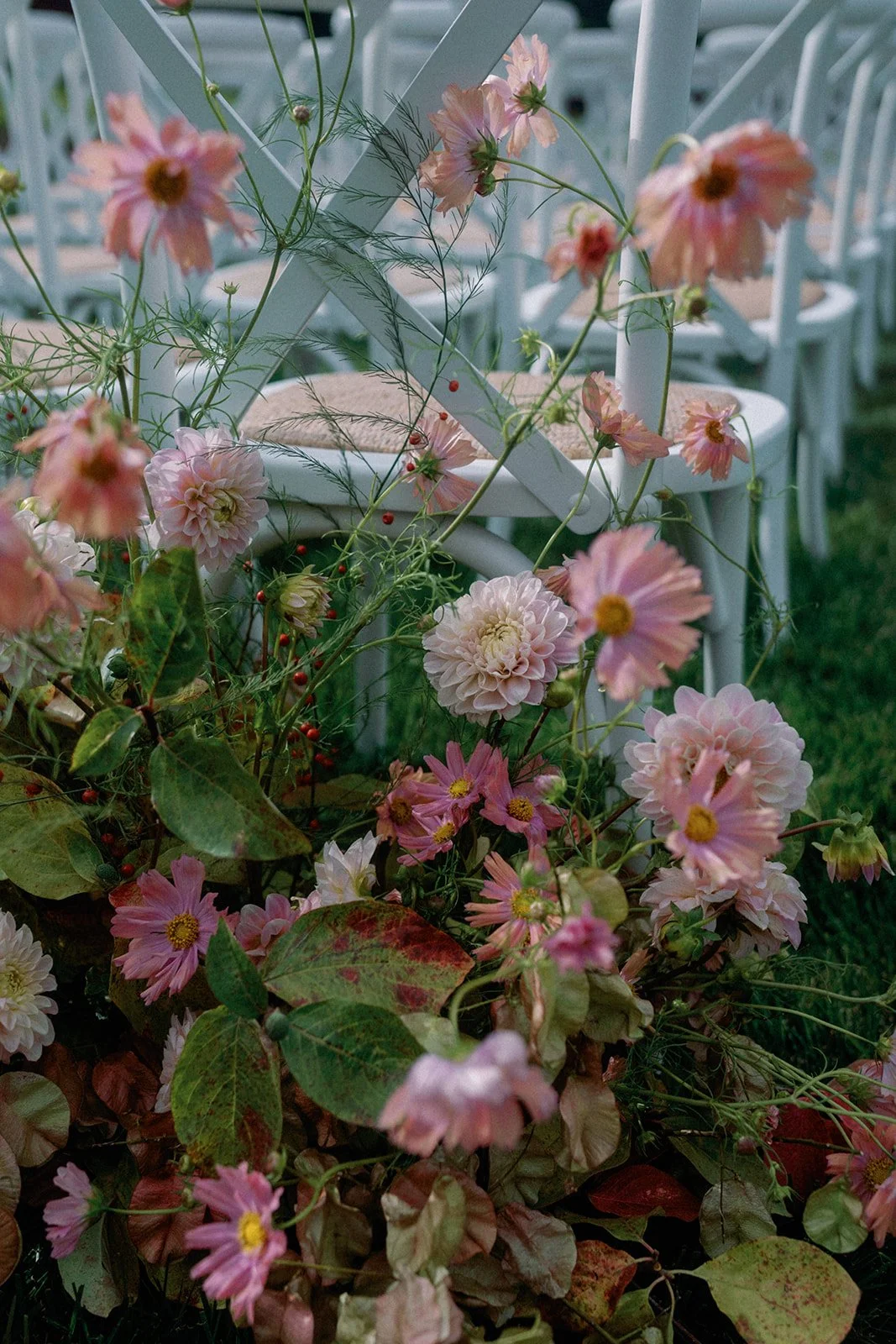 Pink and white flowers with green leaves and some red berries surrounding white chairs on a grassy area.