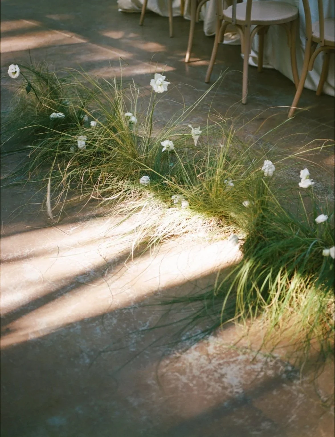 FilmWeddingPhotography_MorningGloryFarm_+53.jpg