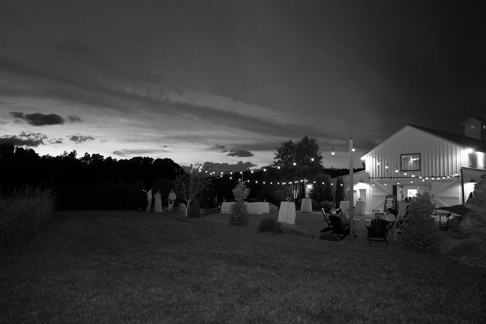 DSC02649.jpg