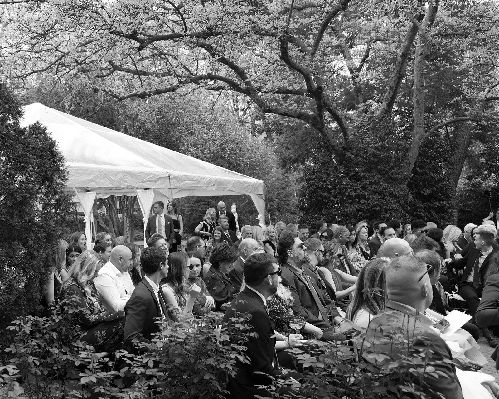 English_Garden_Wedding_Charlotte_-322.jpg