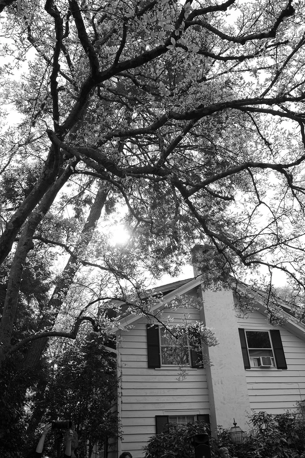 English_Garden_Wedding_Charlotte_-403.jpg