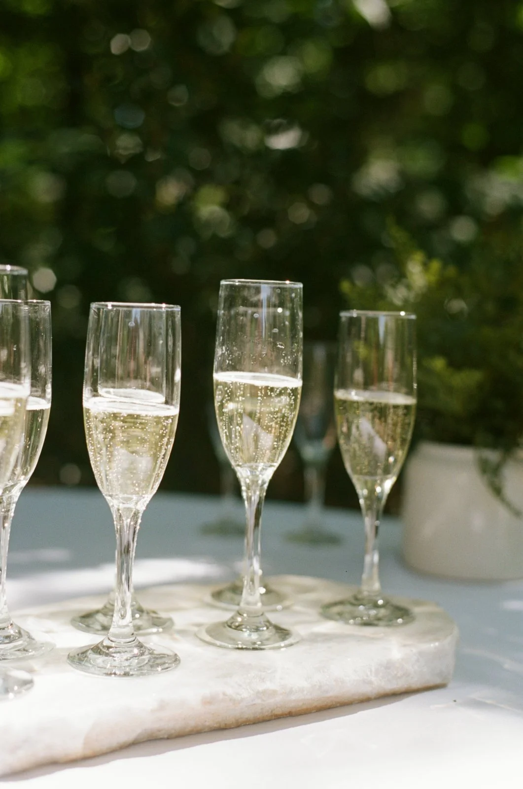 FilmWeddingPhotography_MorningGloryFarm_ 16.jpg