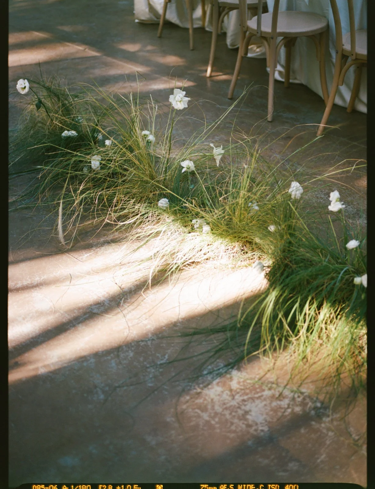 FilmWeddingPhotography_MorningGloryFarm_ 53.jpg