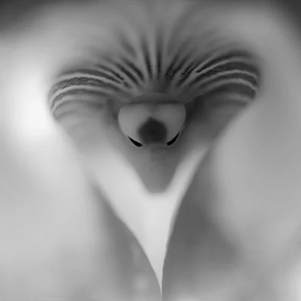 100x100cobra blanca.jpg