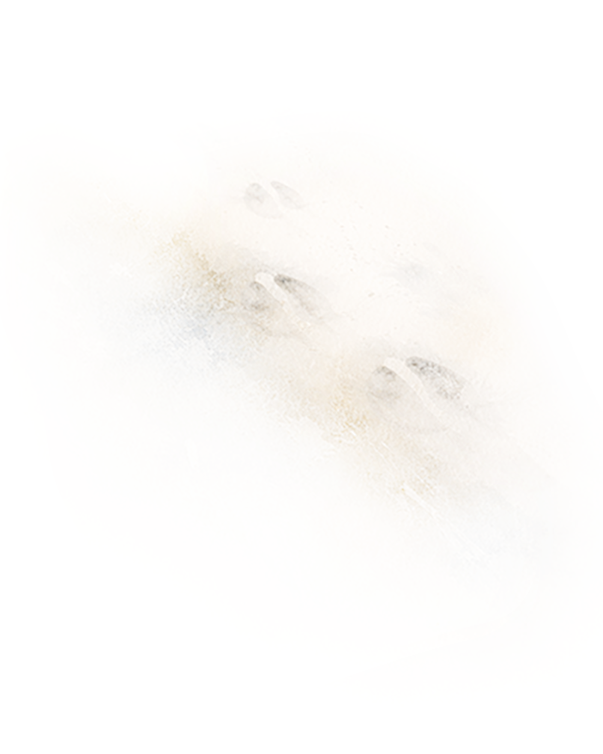 fadingTracksBig.png