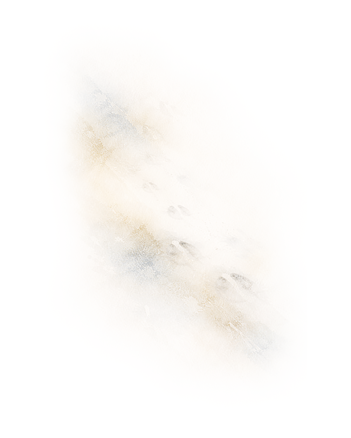 fadingTracksLT.png