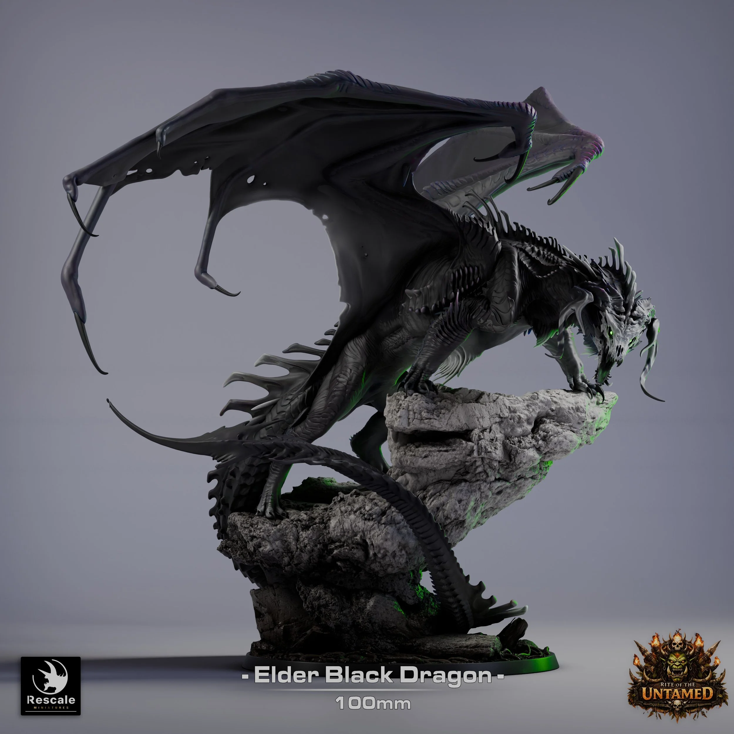 Elder Black Dragon Miniature for D&D & Tabletop RPGs | Huge Resin Dragon by Rescale Miniatures
