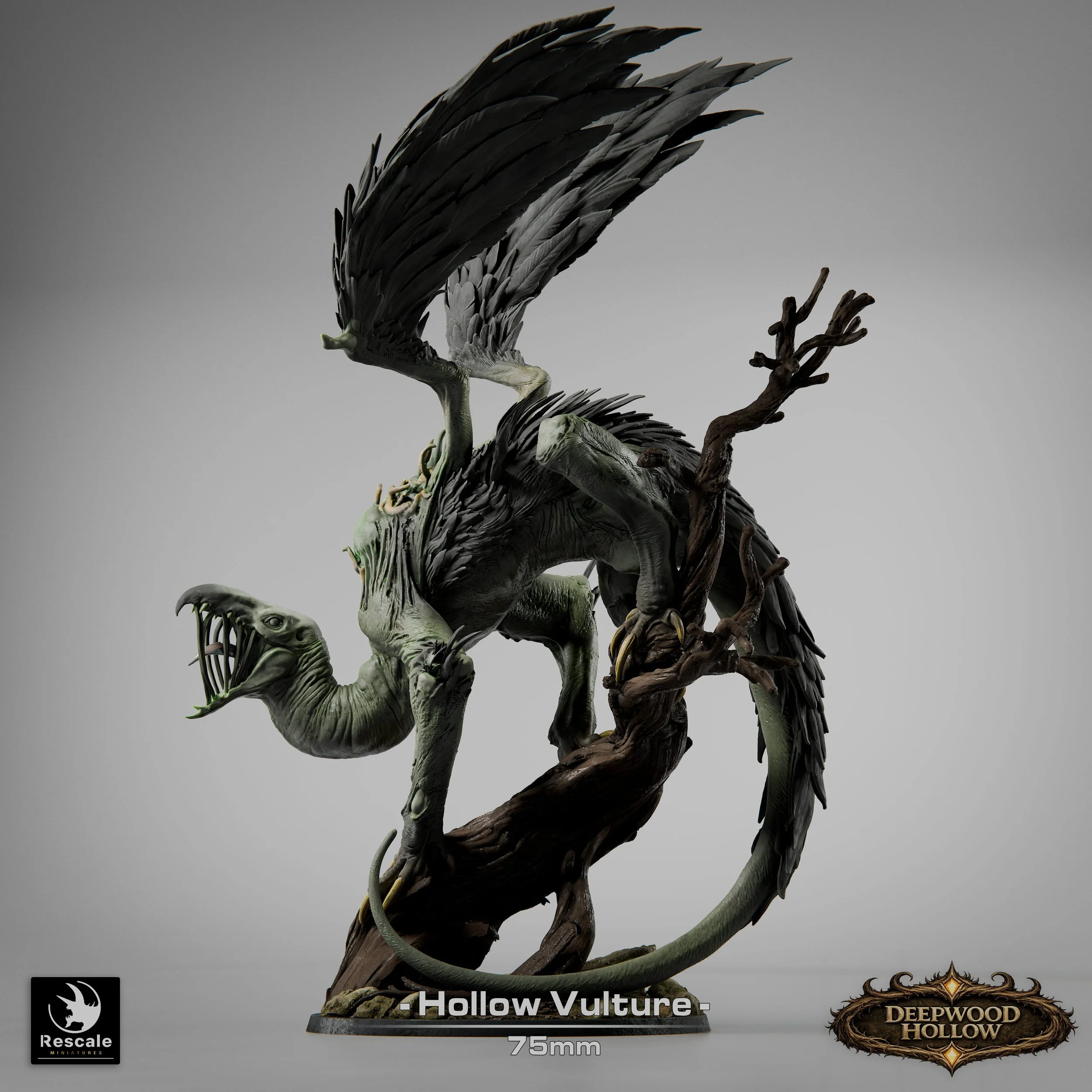 HollowVulture_V10002.jpg