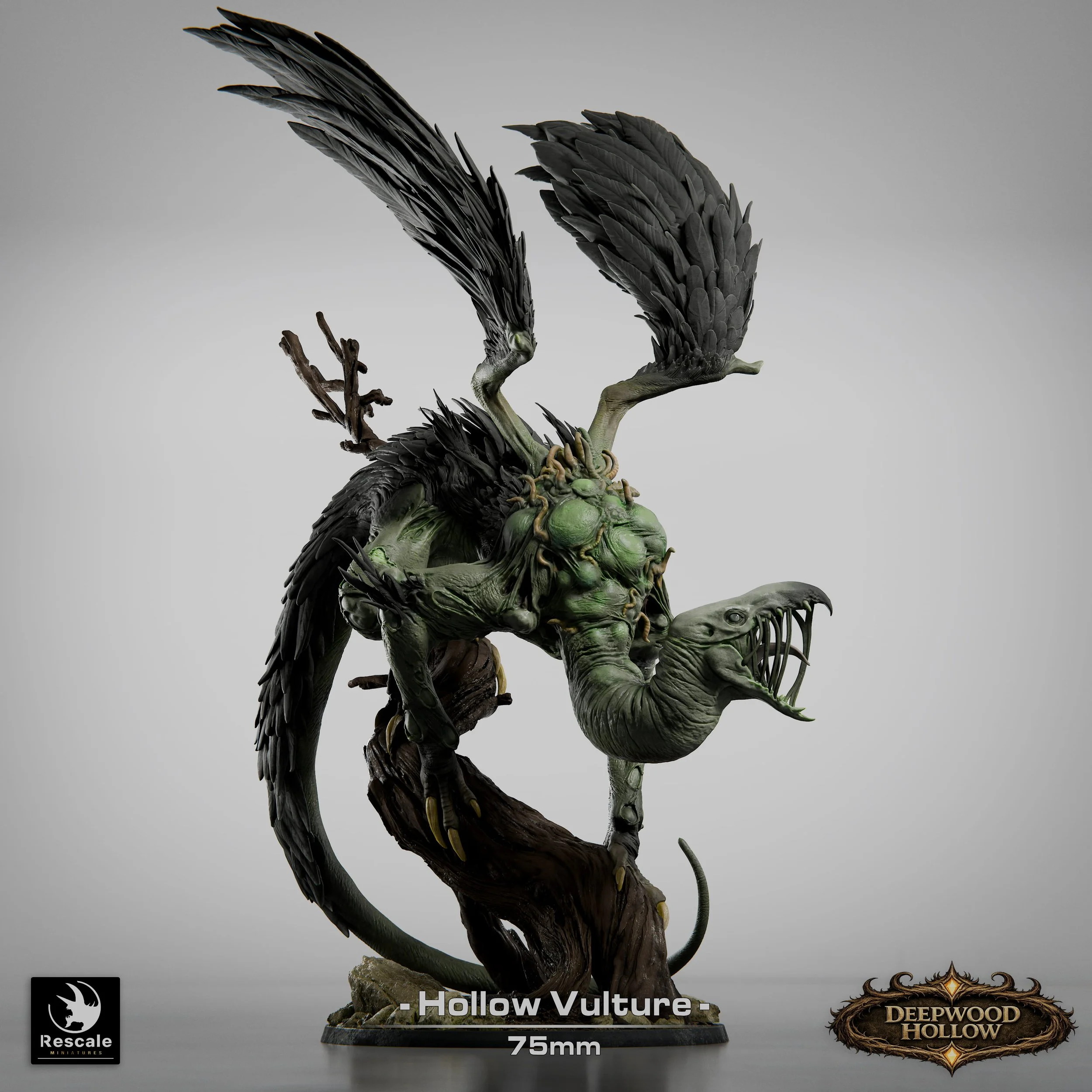 HollowVulture_V10000.jpg