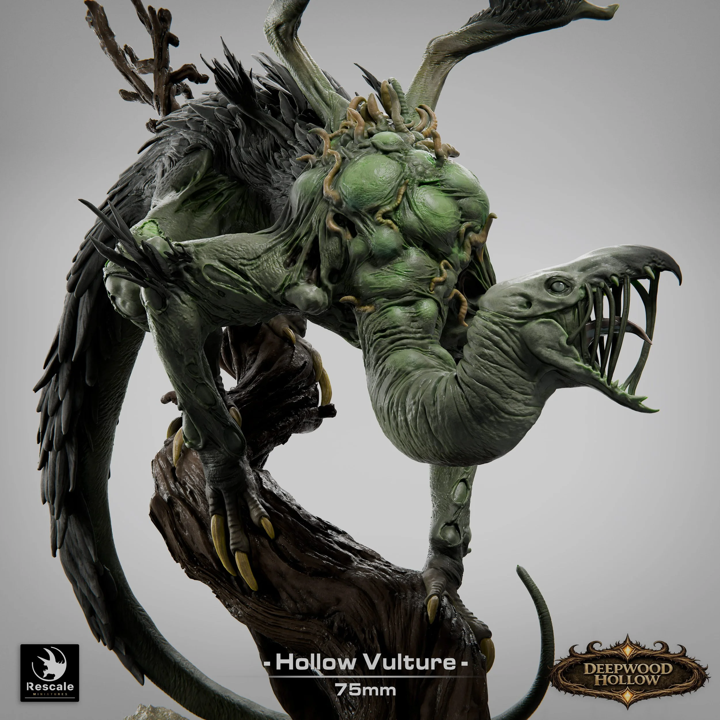 HollowVulture_V10001.jpg