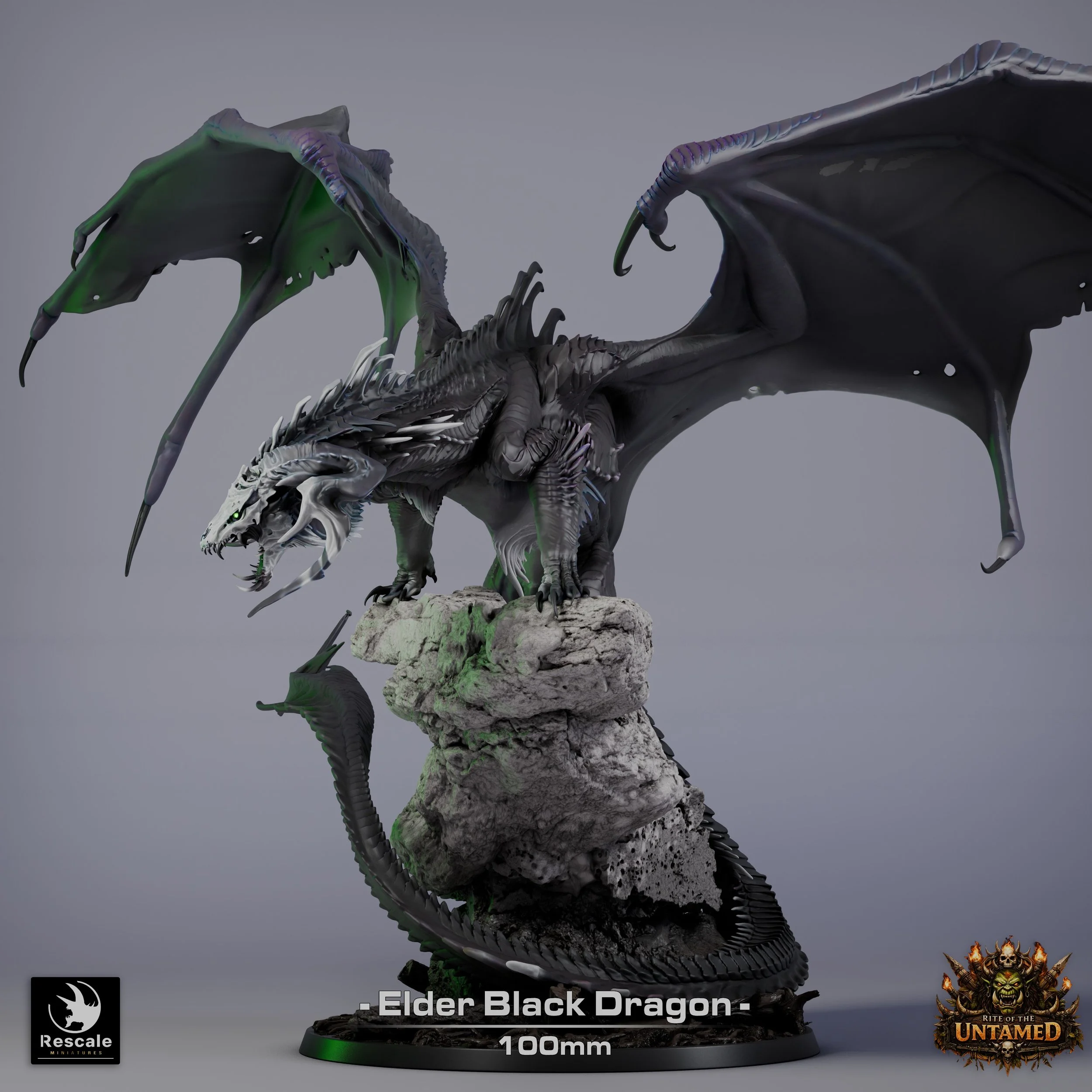 ElderBlackDragon04.jpg