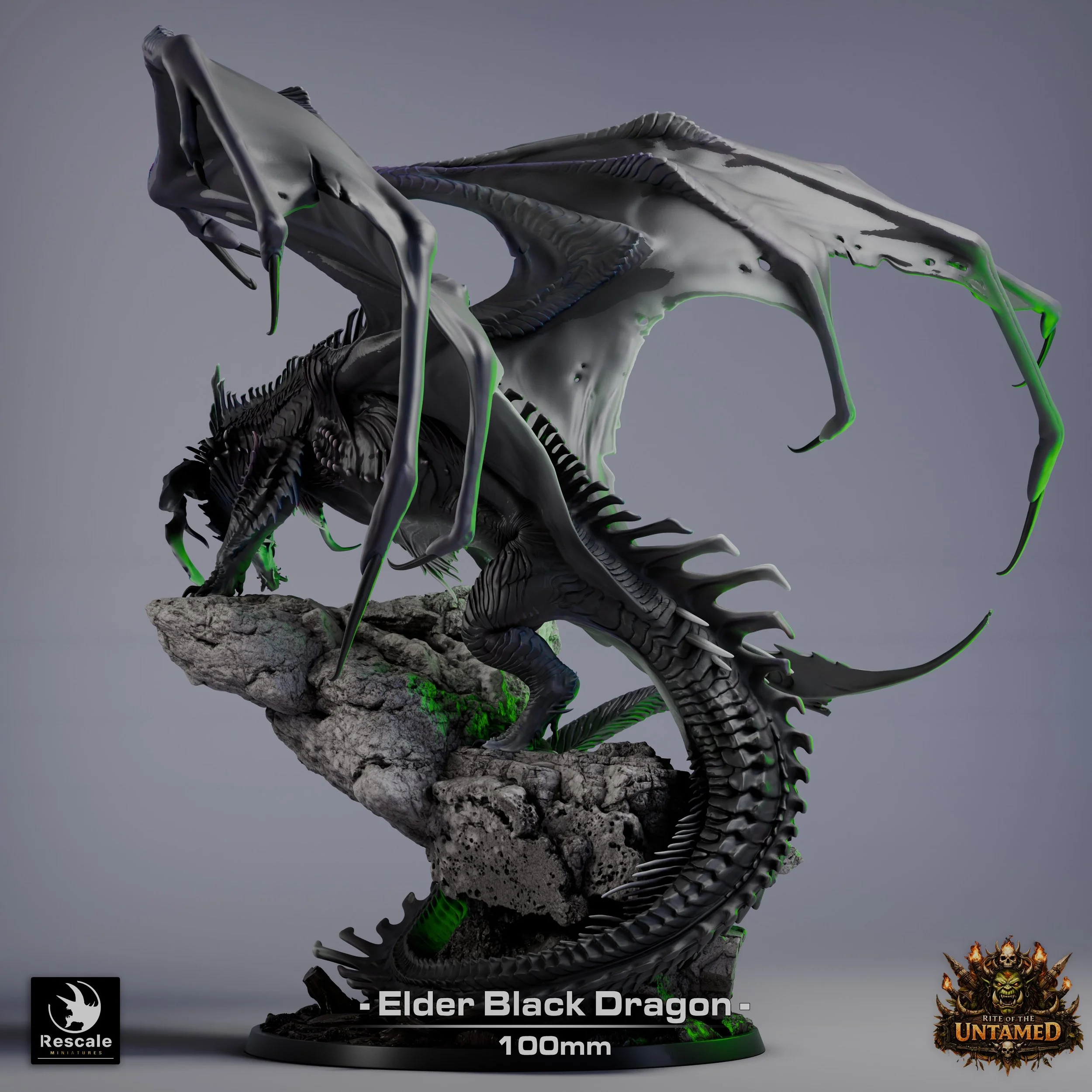 ElderBlackDragon02.jpg