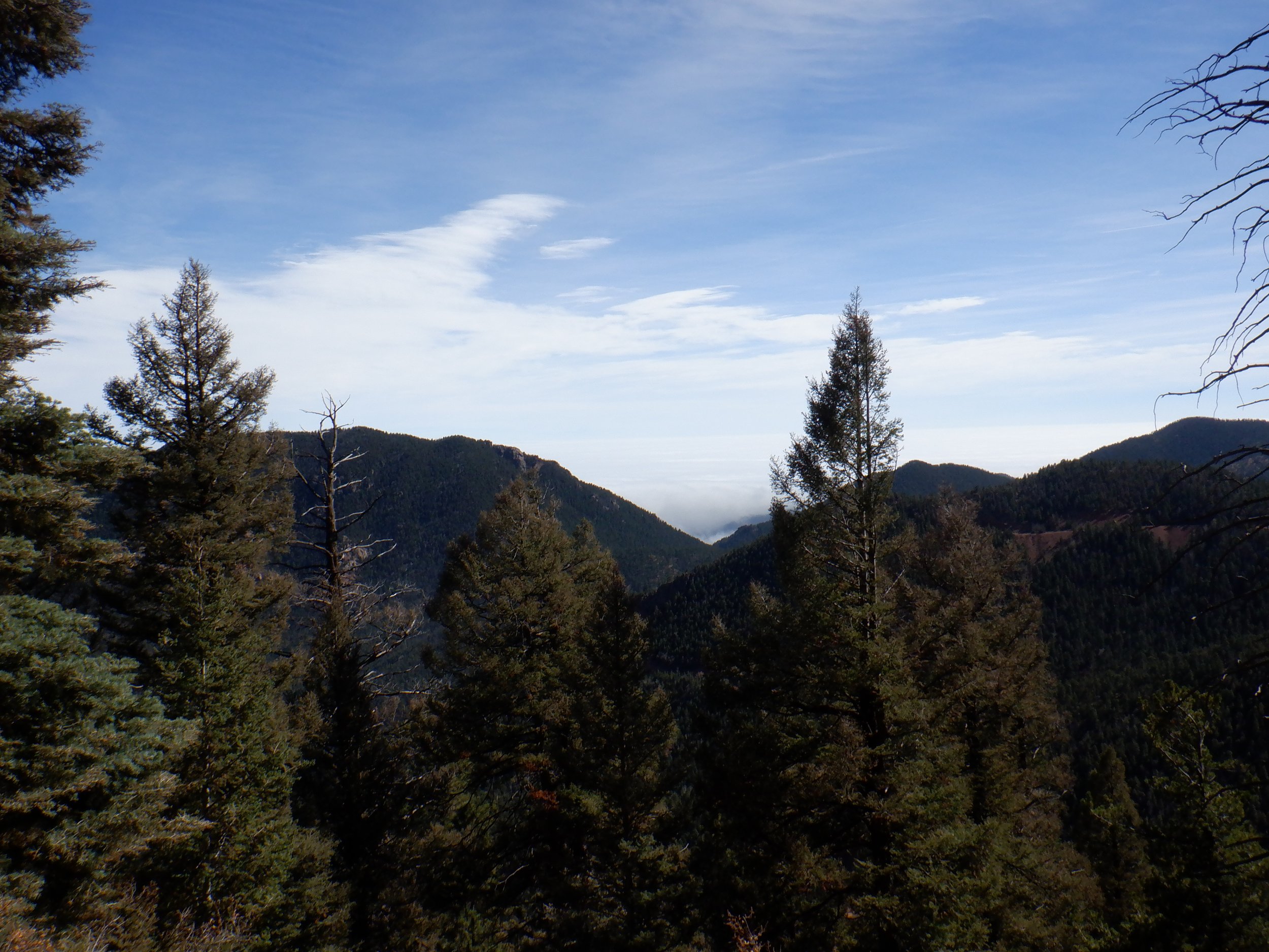  My Summer Reset: Slowing Down and Moving Forward