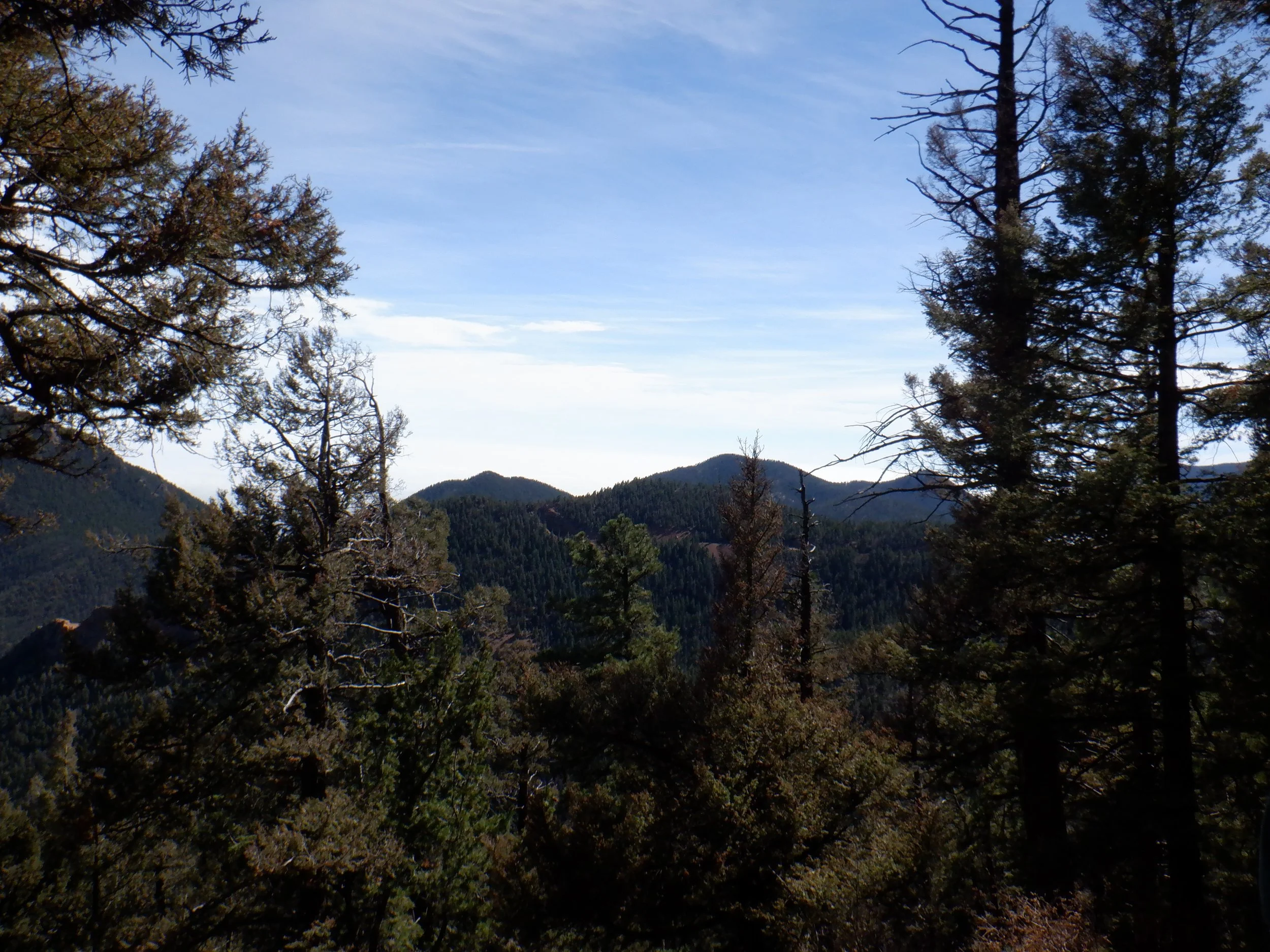 Rediscovering Peace and Movement: A Review of the Mt. Buckhorn Loop