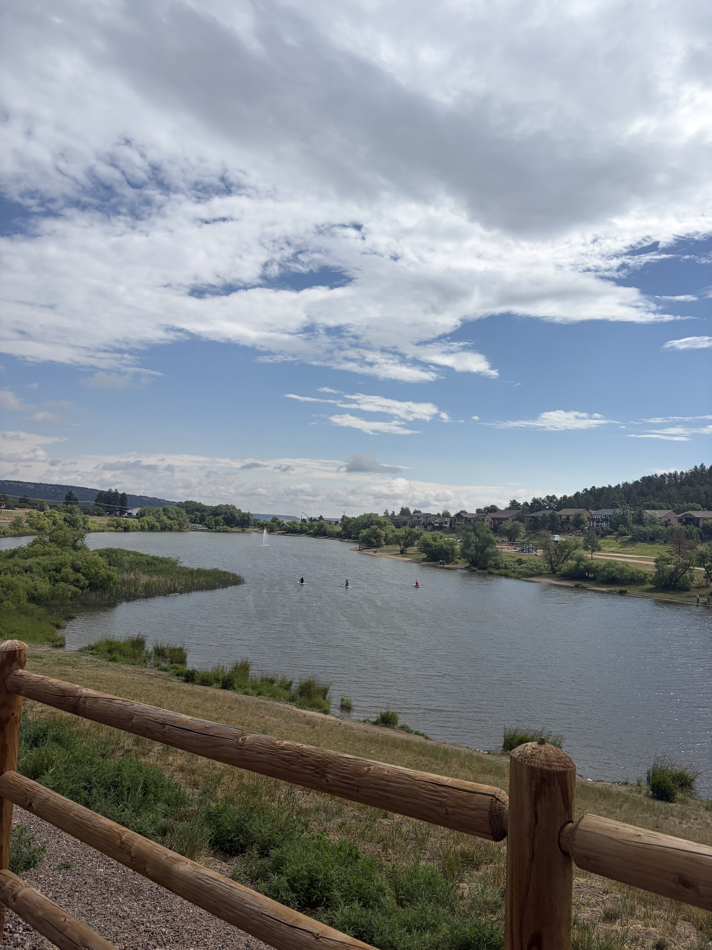 Running for Joy: Rebuilding a Baseline and Embracing the Slow Down
