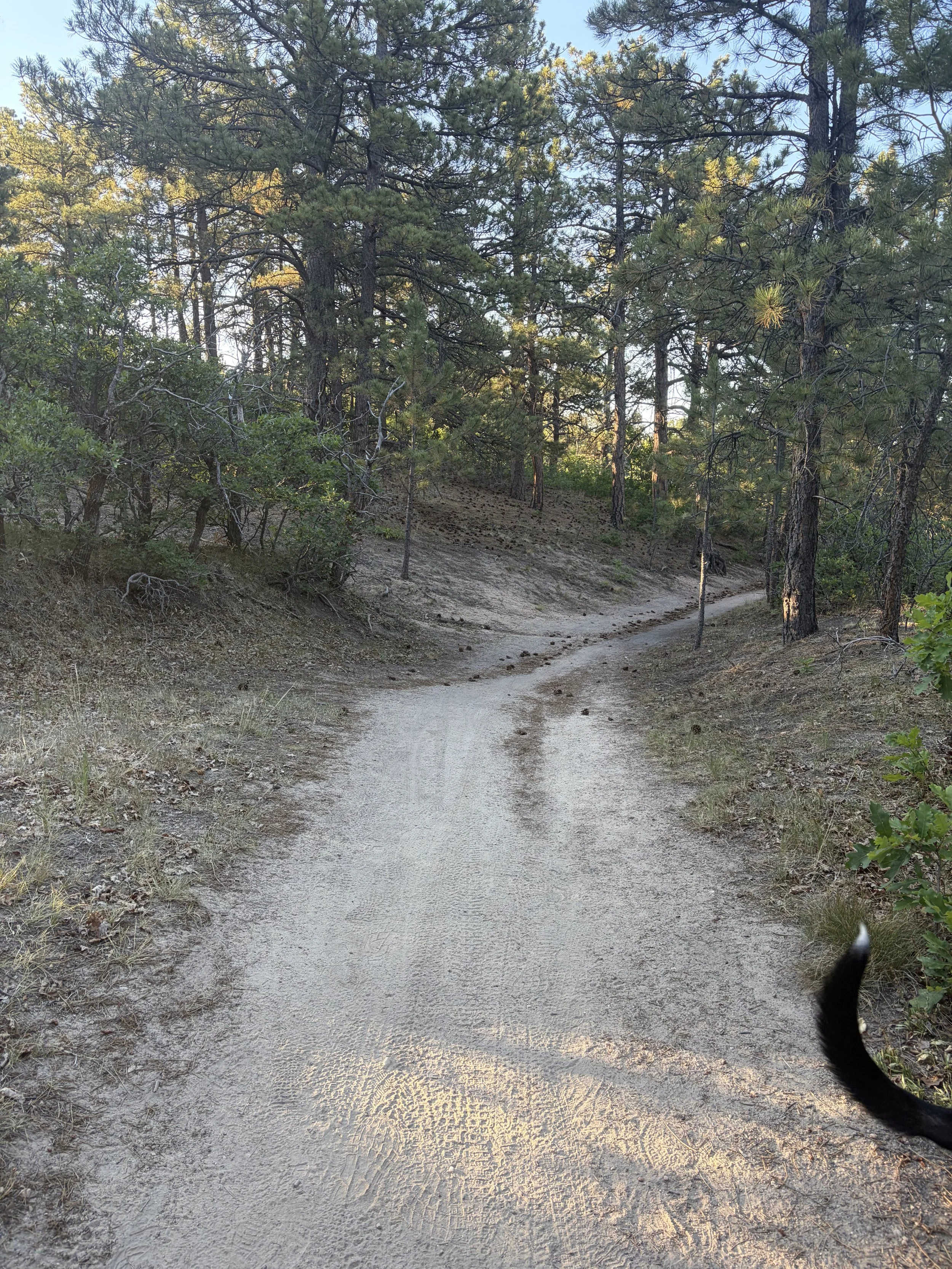 
Summer Reality Check: Wildfire Updates, Race Deferrals & Changing My Training
