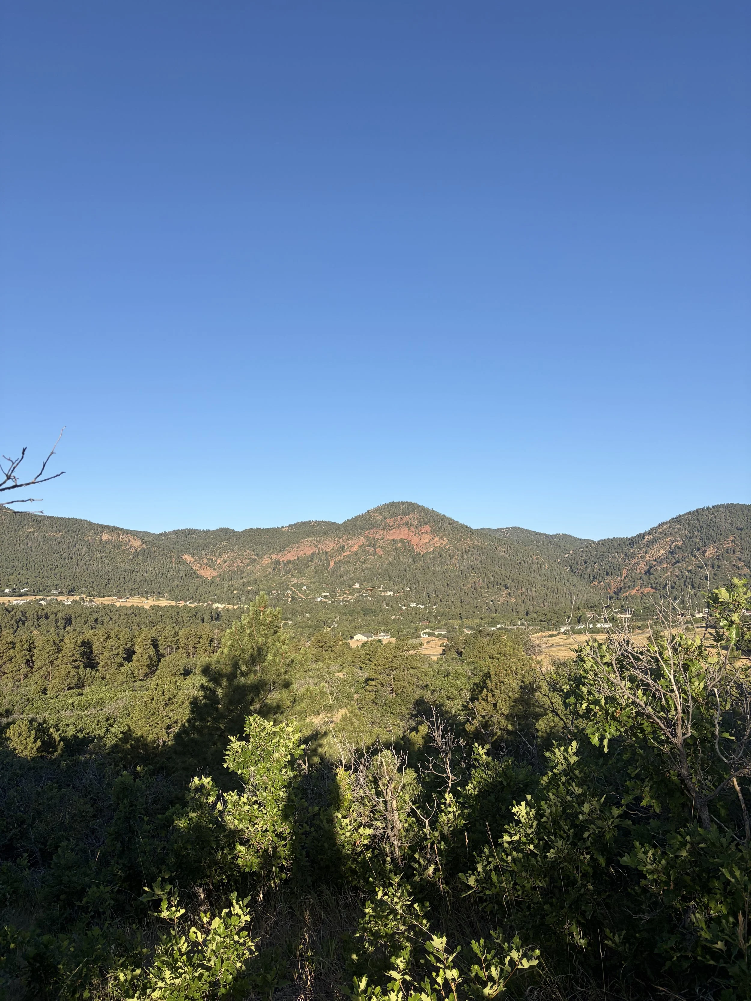 Returning to the Trail: The Emotional and Physical Reality of Week One Post-Injury