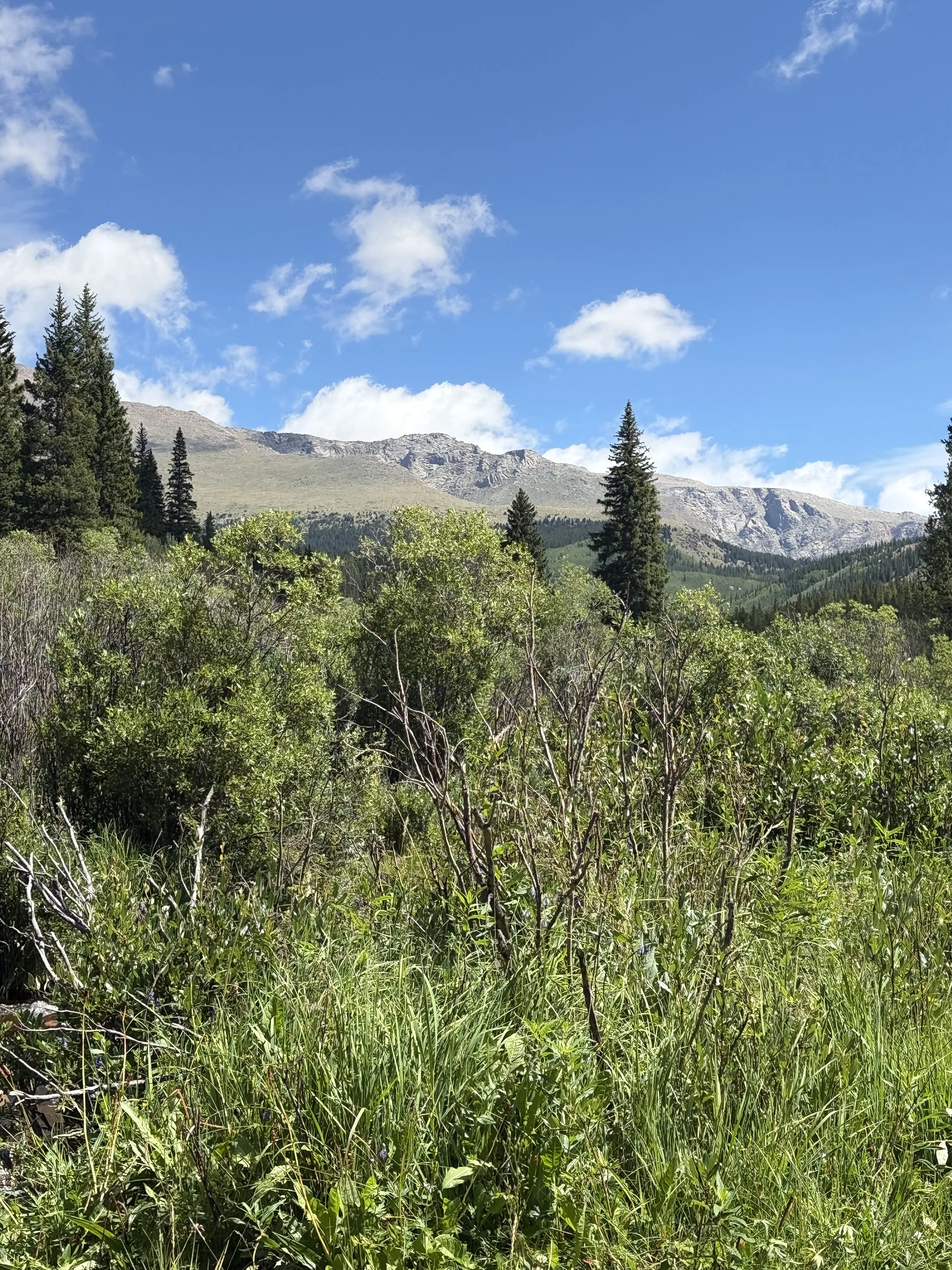 Returning to the Dirt: Why Abyss Trail on Guanella Pass is the Ultimate Comeback Run