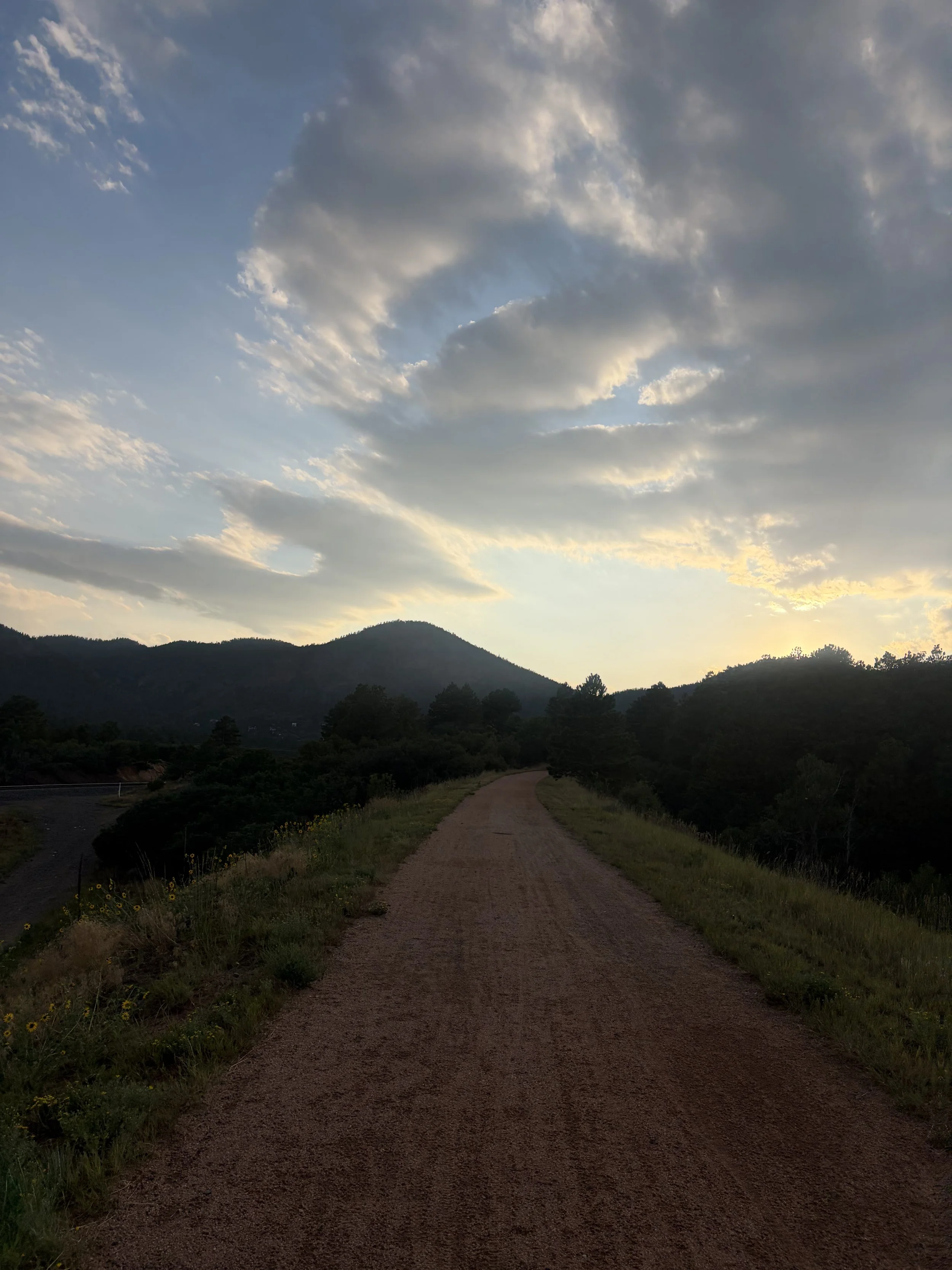 From Bear Encounters to 14er Summits: A Week in My Running Shoes
