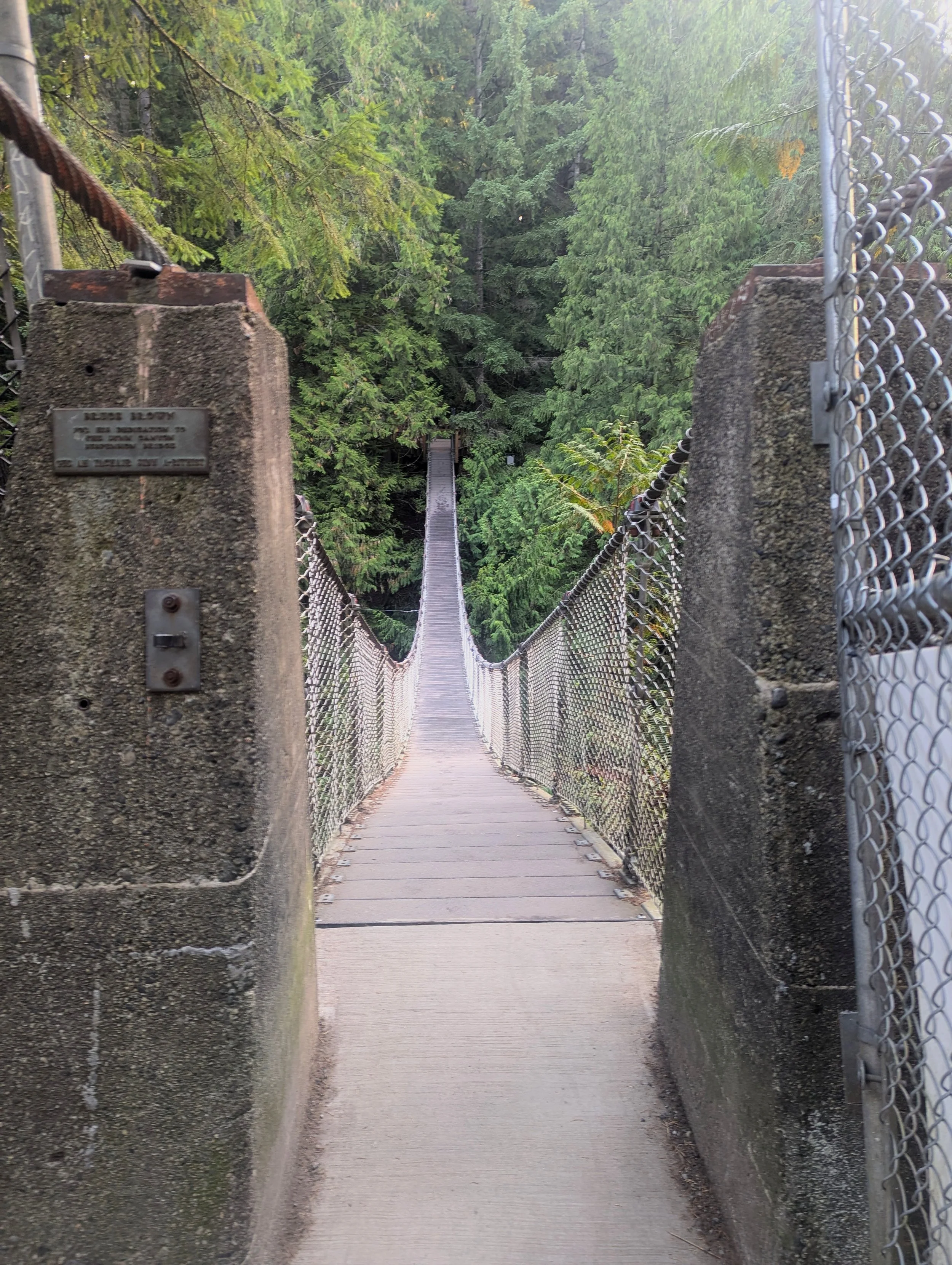 Canada Day 2: Misty Bridges, Forest Bliss, and Graffiti Train Cars
