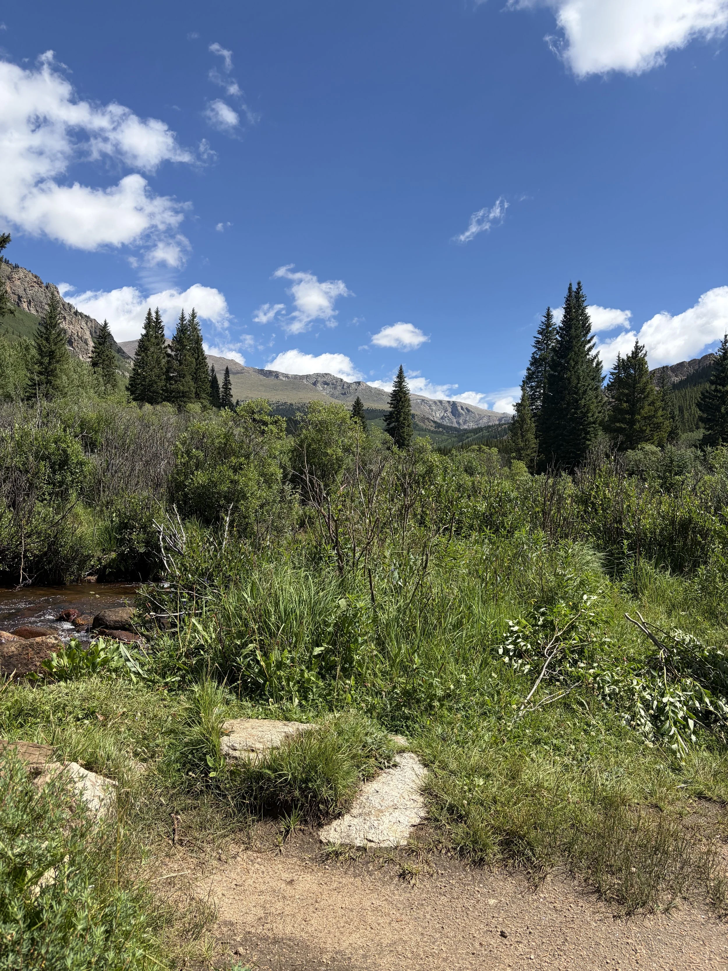 IMG_5385.jpeg