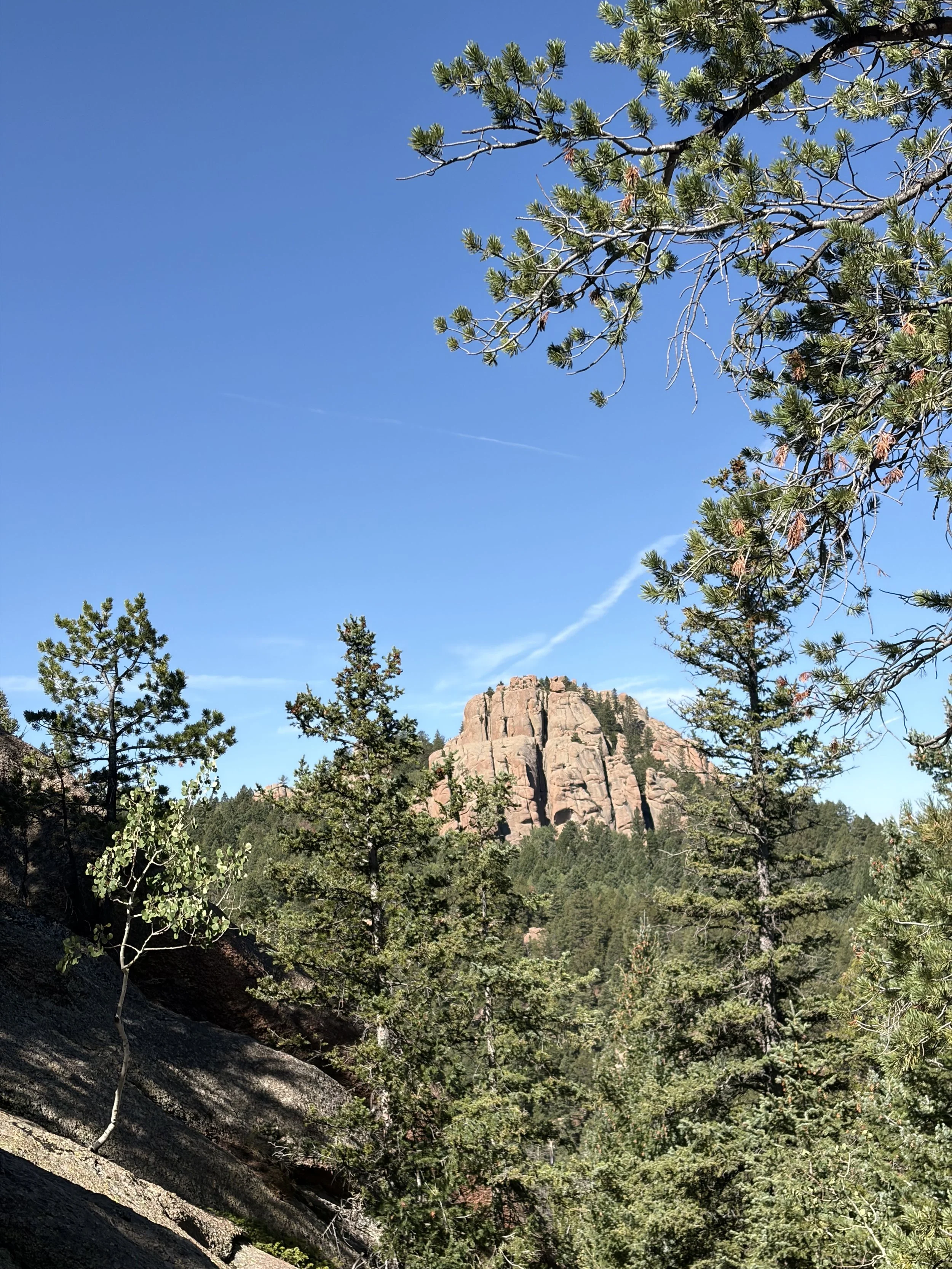 IMG_5734.jpeg