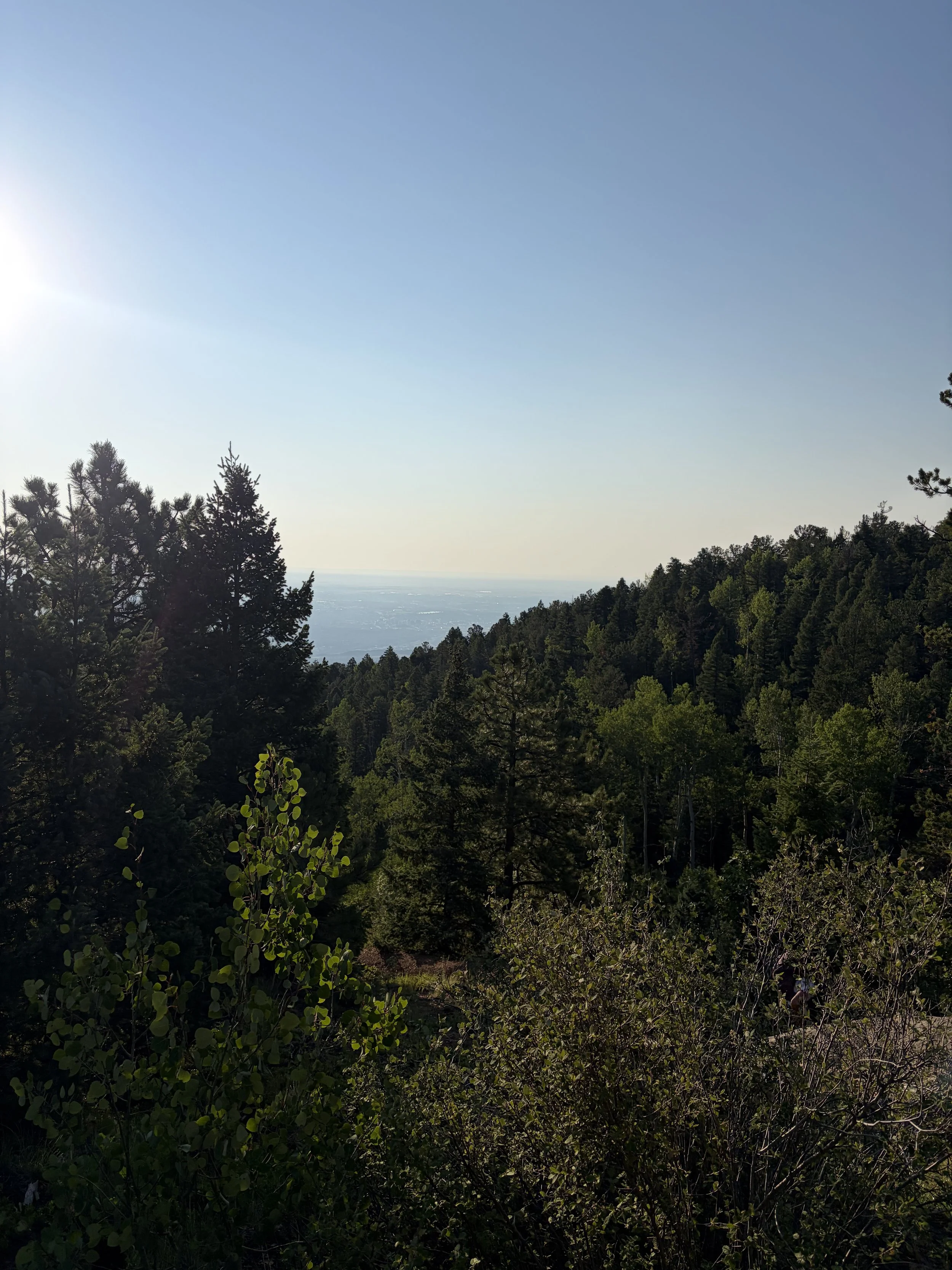 IMG_5523.jpeg