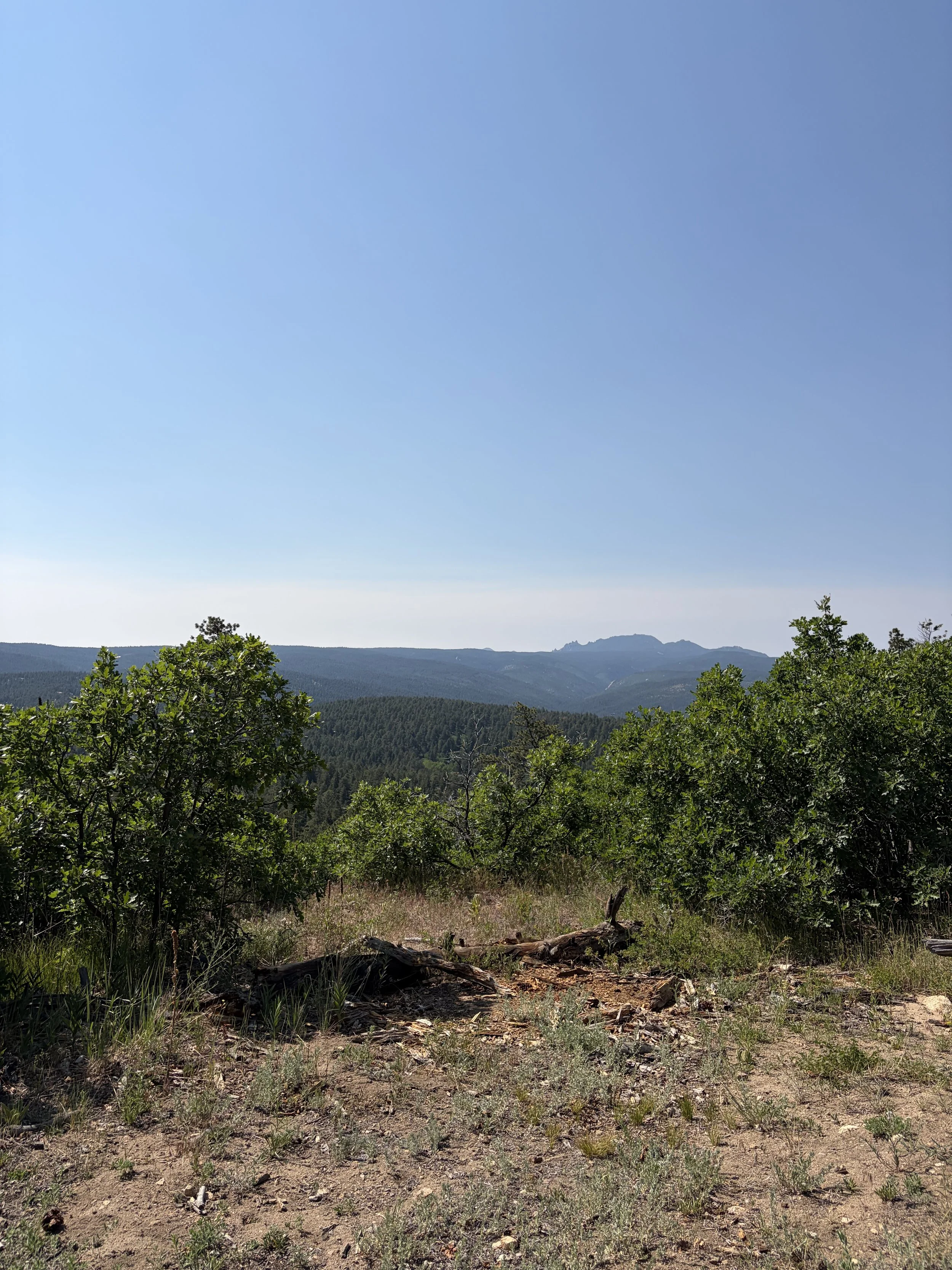 IMG_5014.jpeg