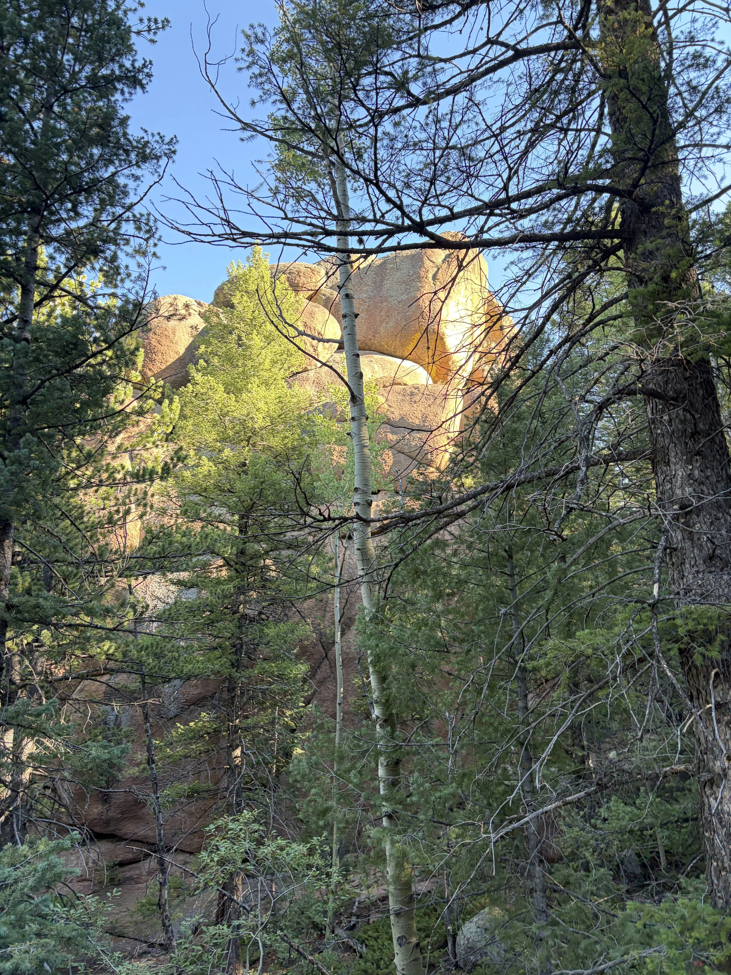 IMG_5652.jpeg