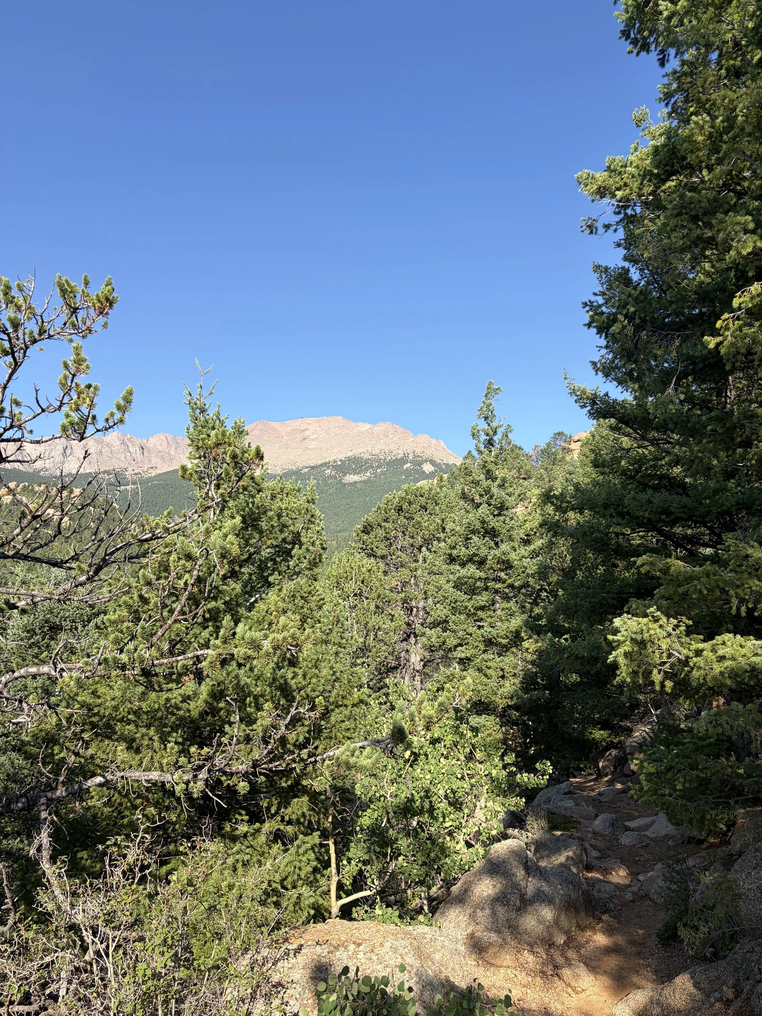 IMG_5525.jpeg
