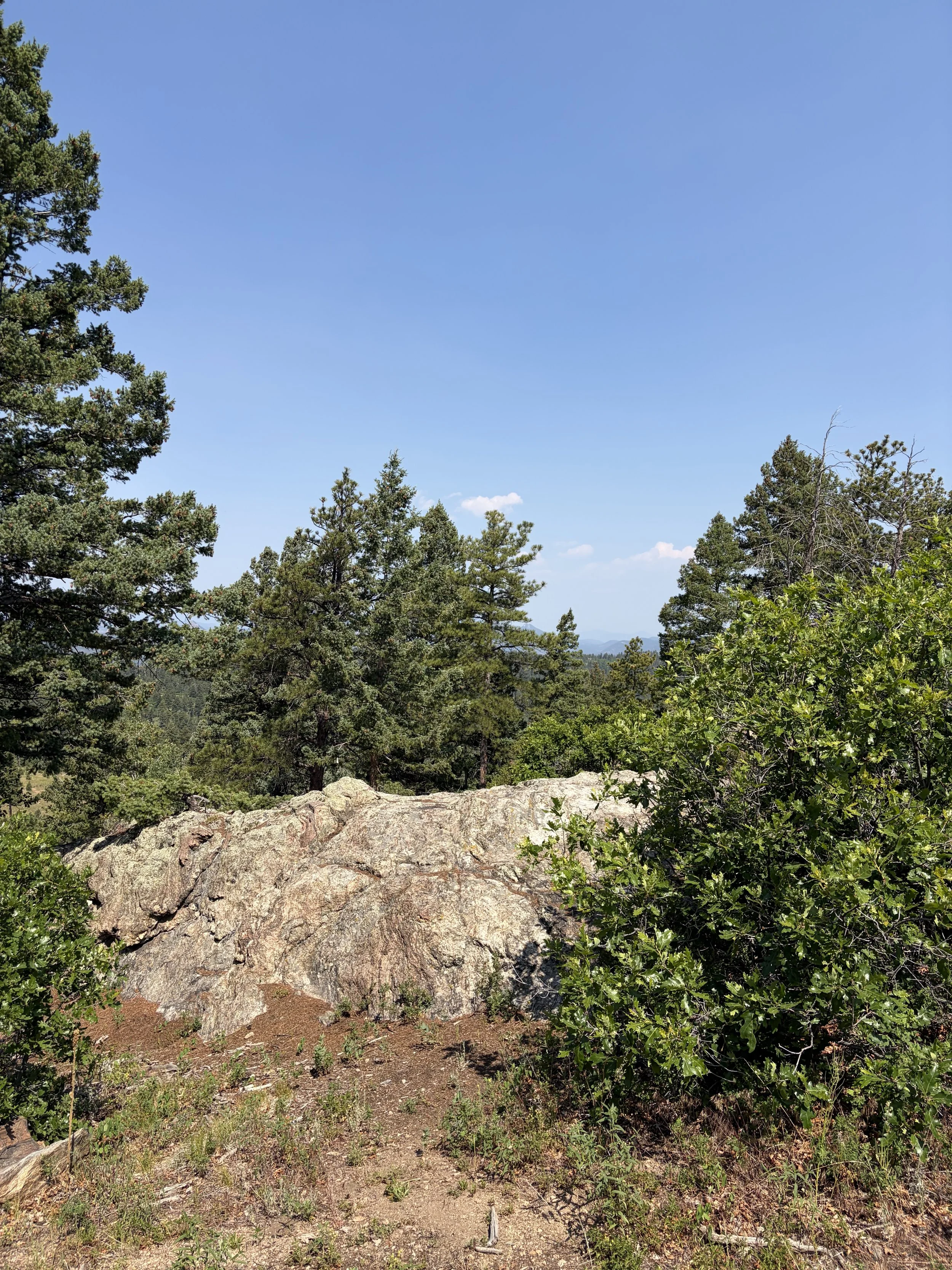IMG_5016.jpeg