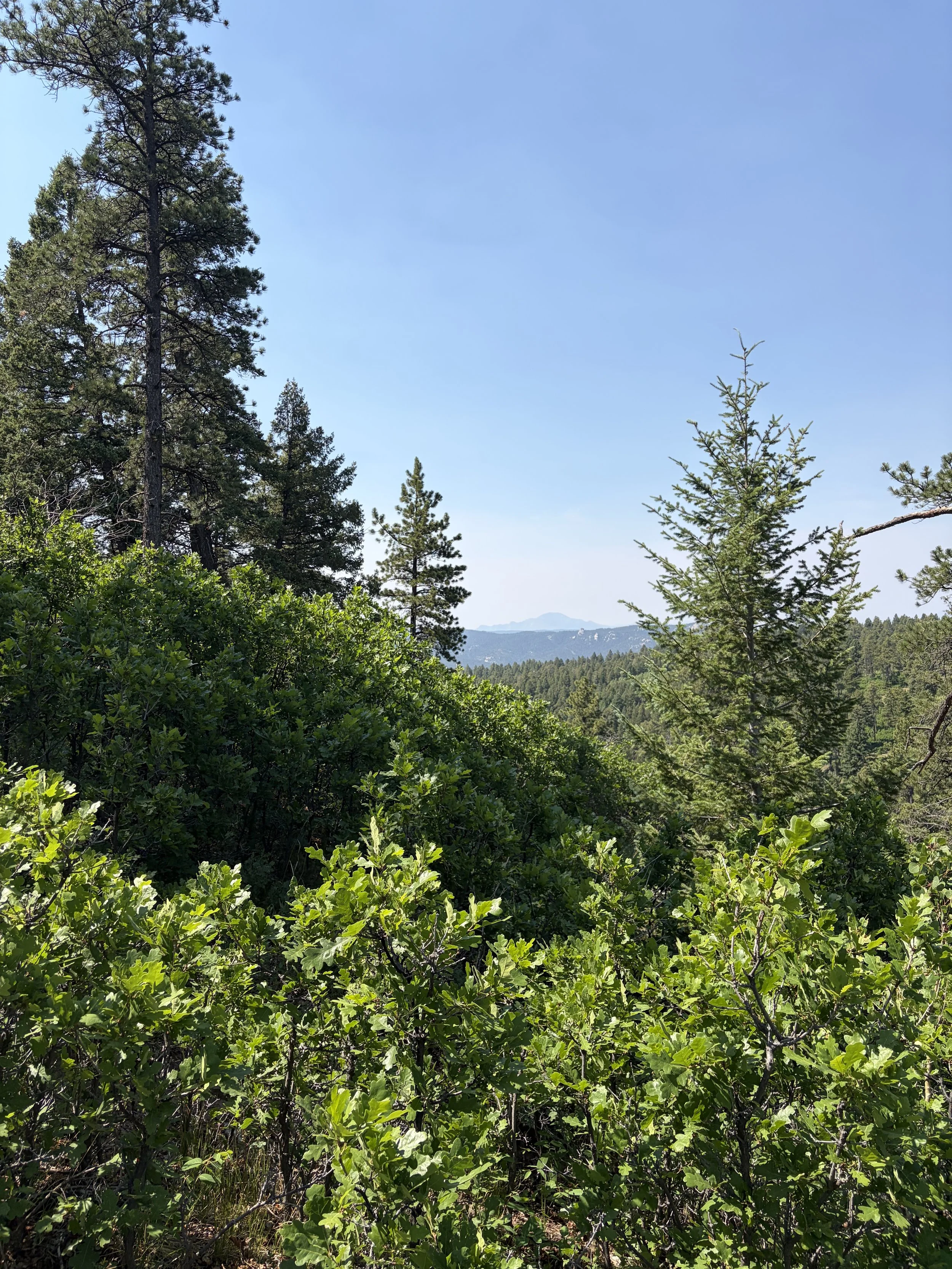 IMG_5022.jpeg