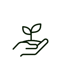 Outline of a hand holding a small plant with two leaves