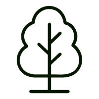 Simple line drawing of a tree.