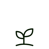 Simple line drawing of a small plant with two leaves and a sprout.