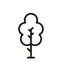 Simple black outline of a tree with a green interior