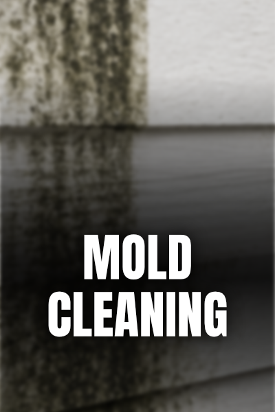 A close-up of a moldy wall with text 'MOLD CLEANING' overlaid.