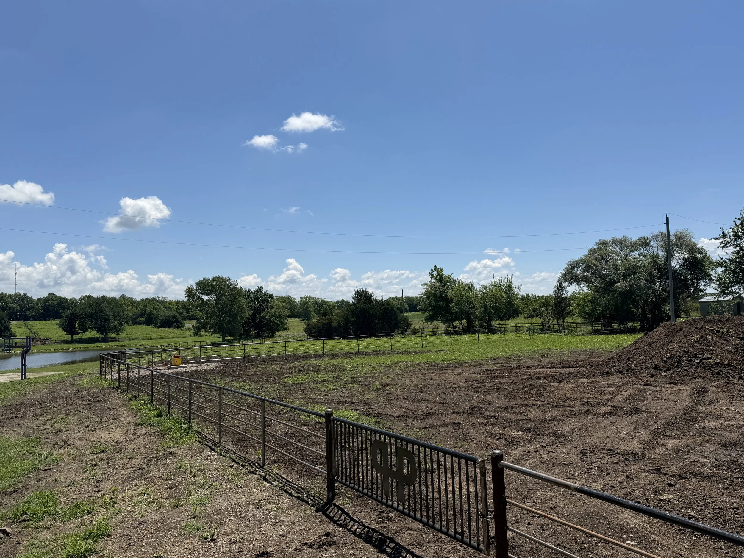 c fence 2.jpg