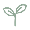 A simple illustration of a green sprout with two leaves.