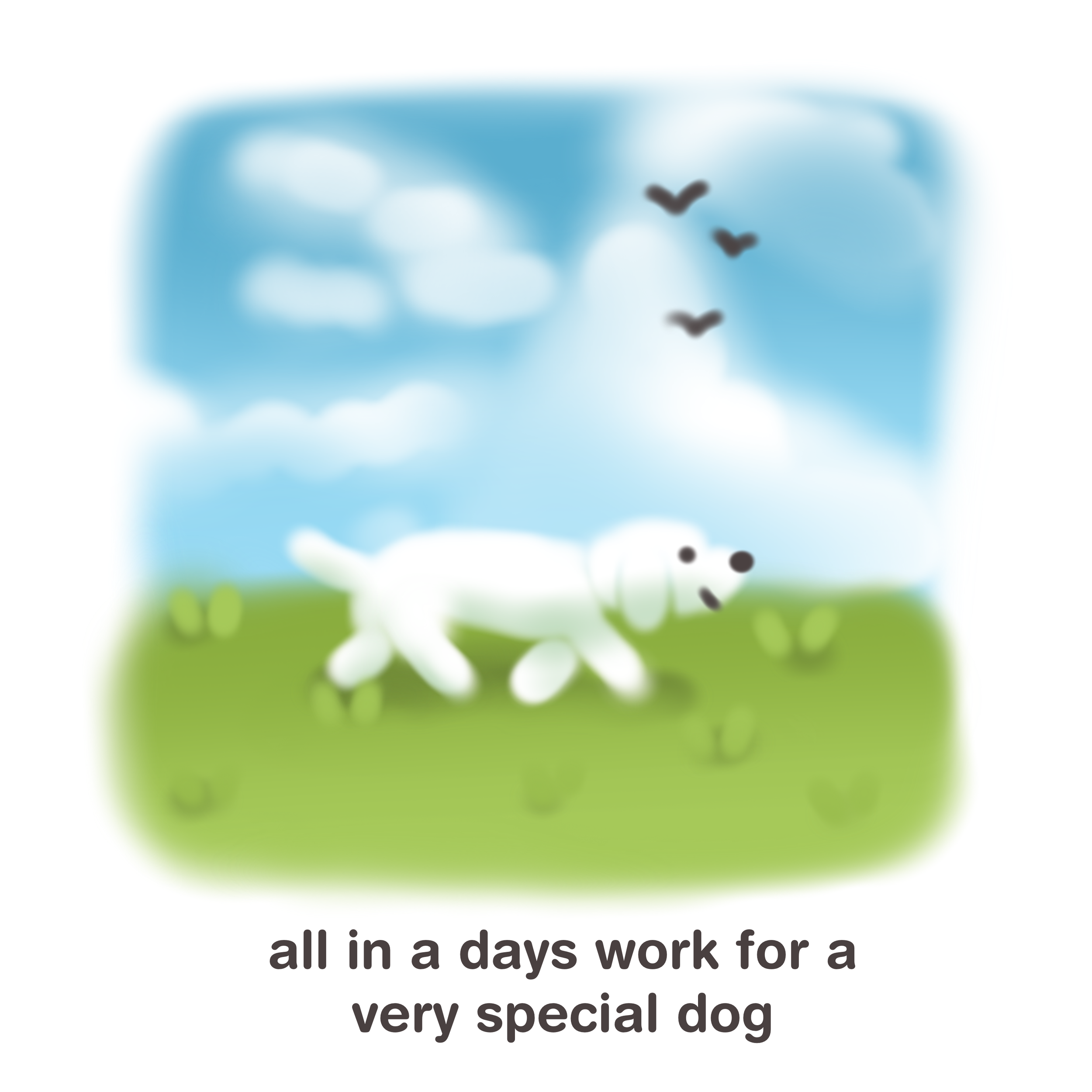 IMG_4189.png