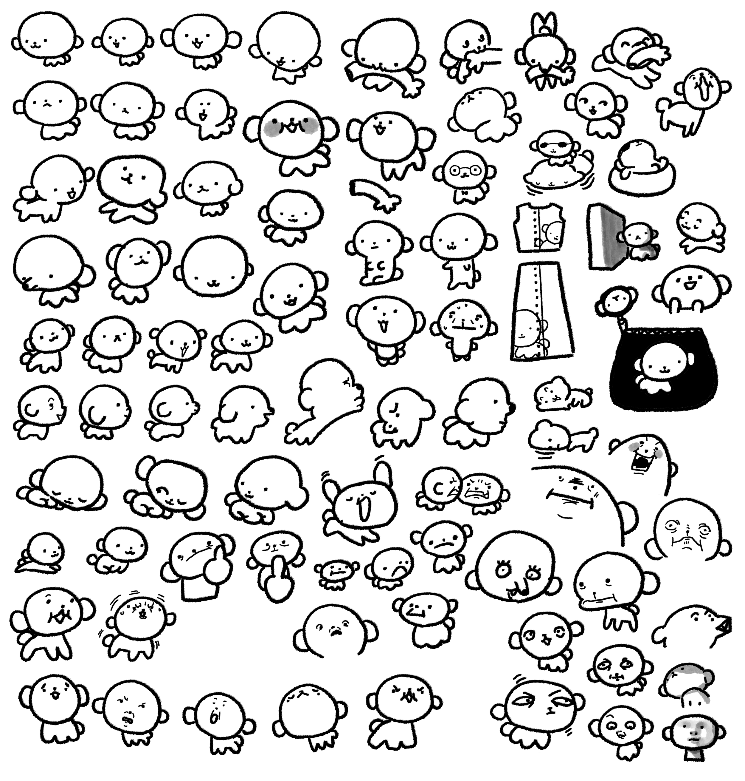 IMG_2438.png