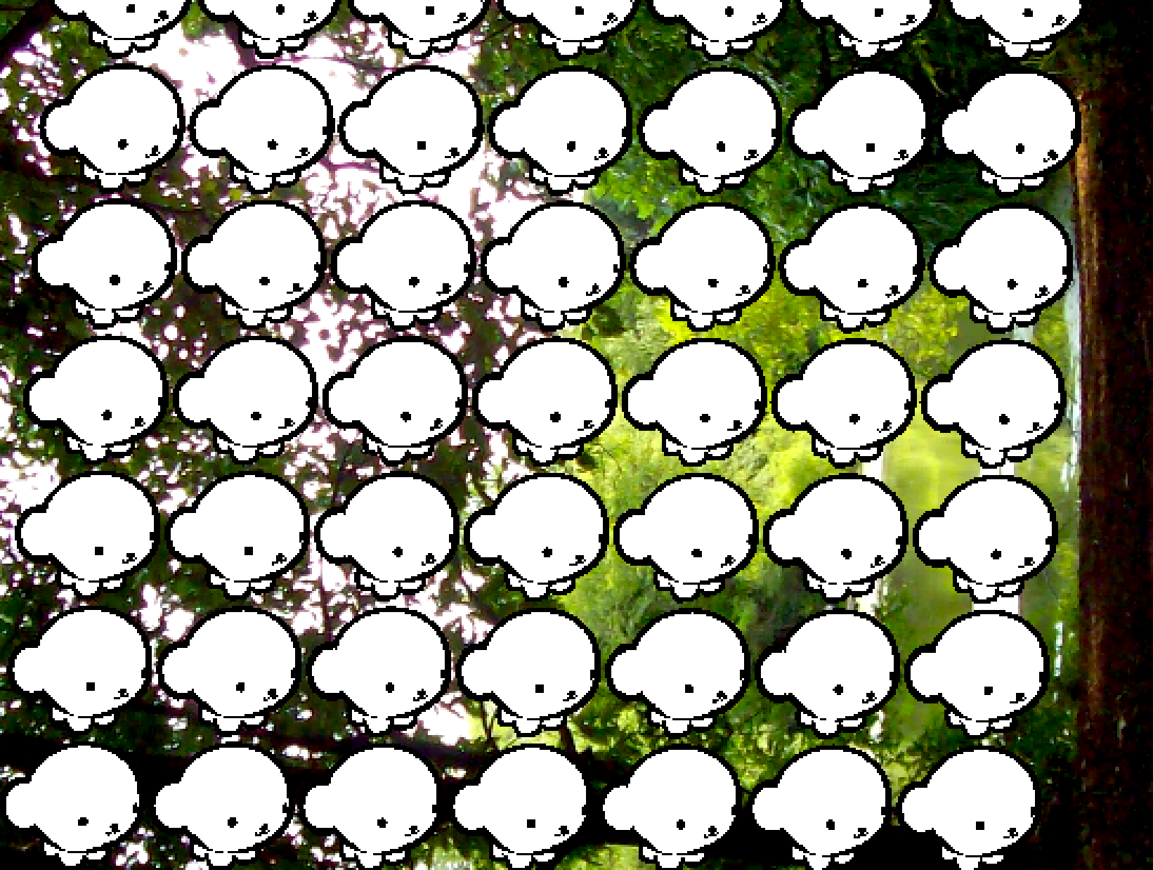 IMG_3090.png