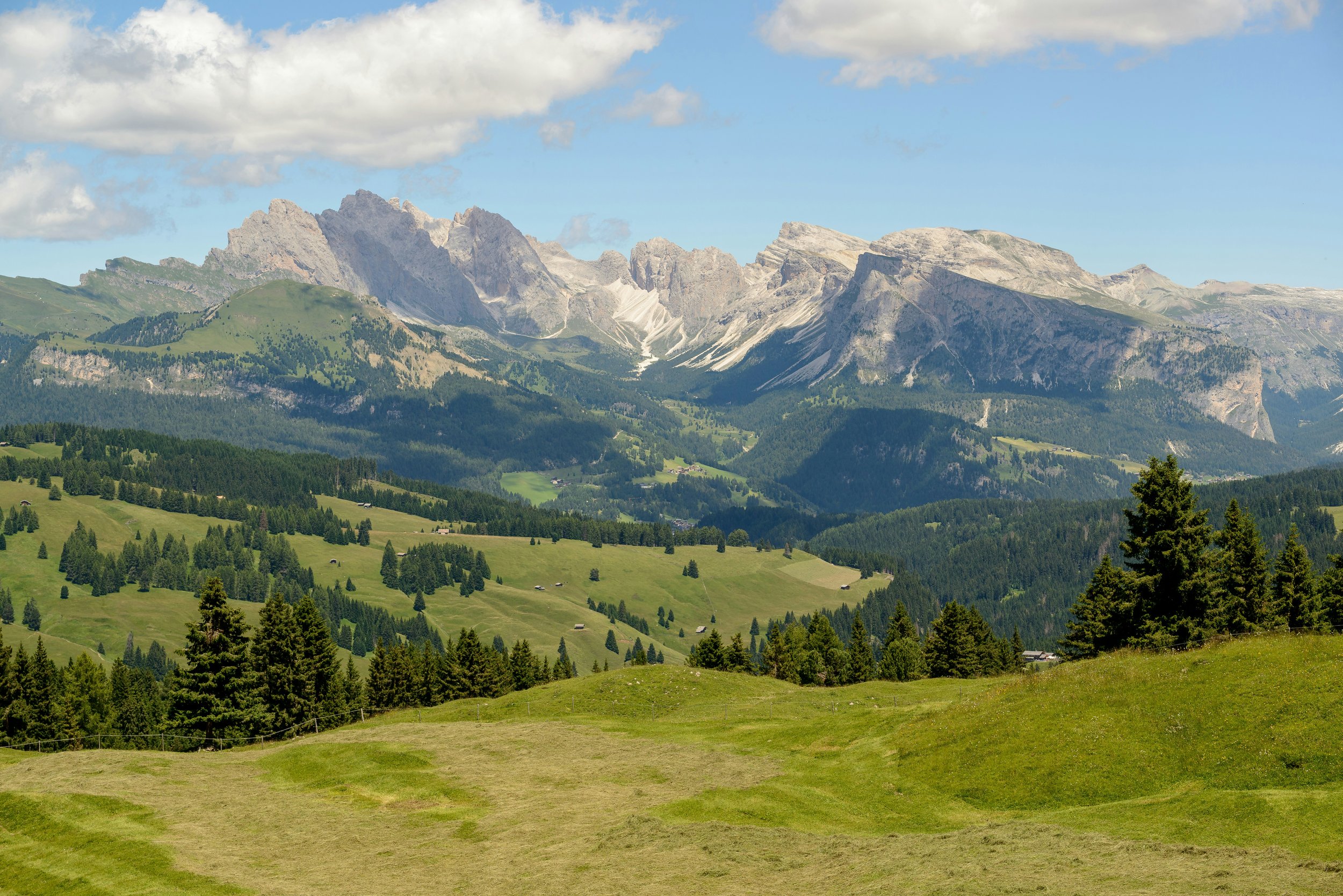 A scenic landscape of green rolling hills with scattered trees in the foreground and a mountain range in the background under a partly cloudy blue sky.
