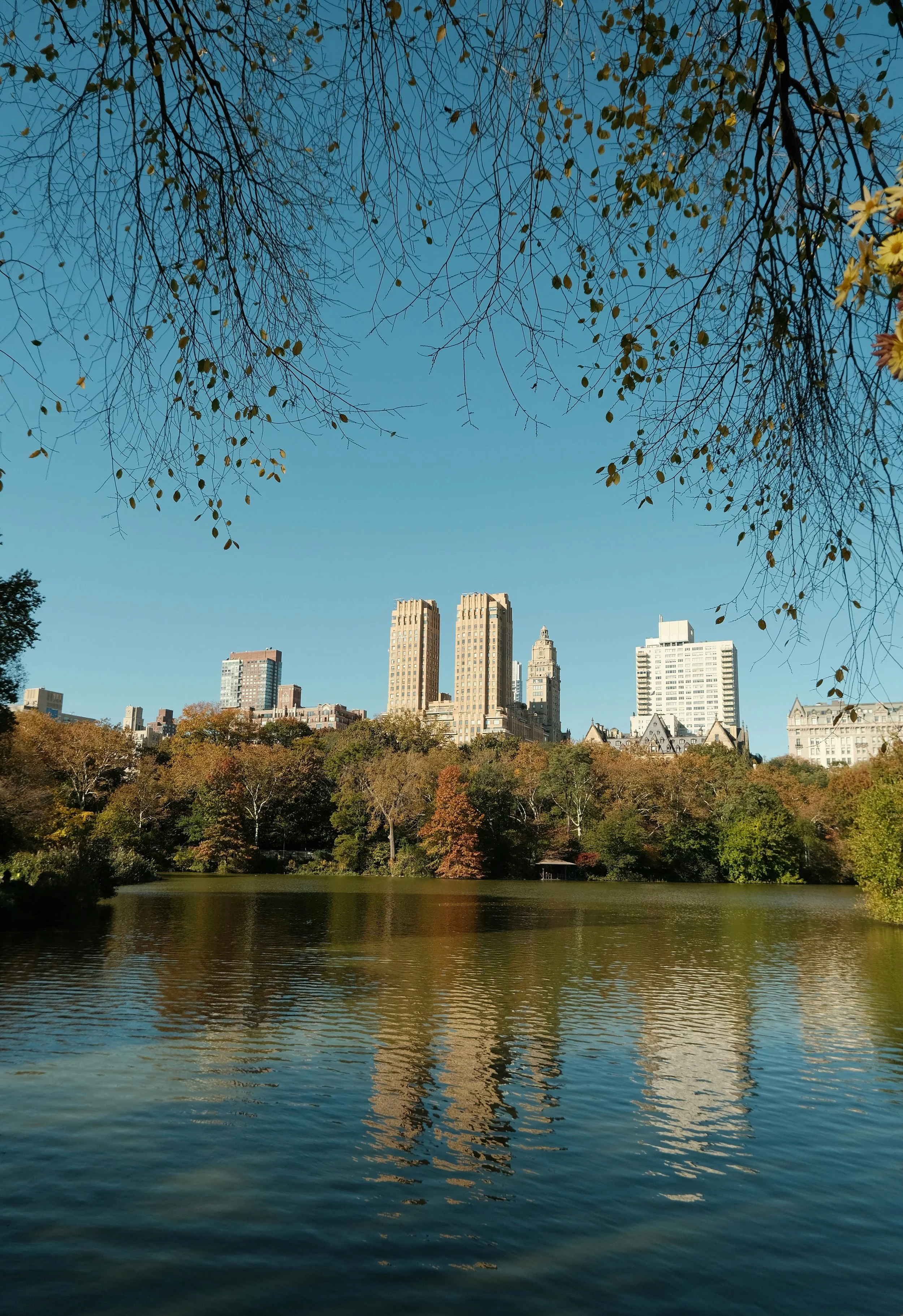 A cityscape with tall buildings viewed across a lake, with trees on the shoreline and a clear blue sky above.