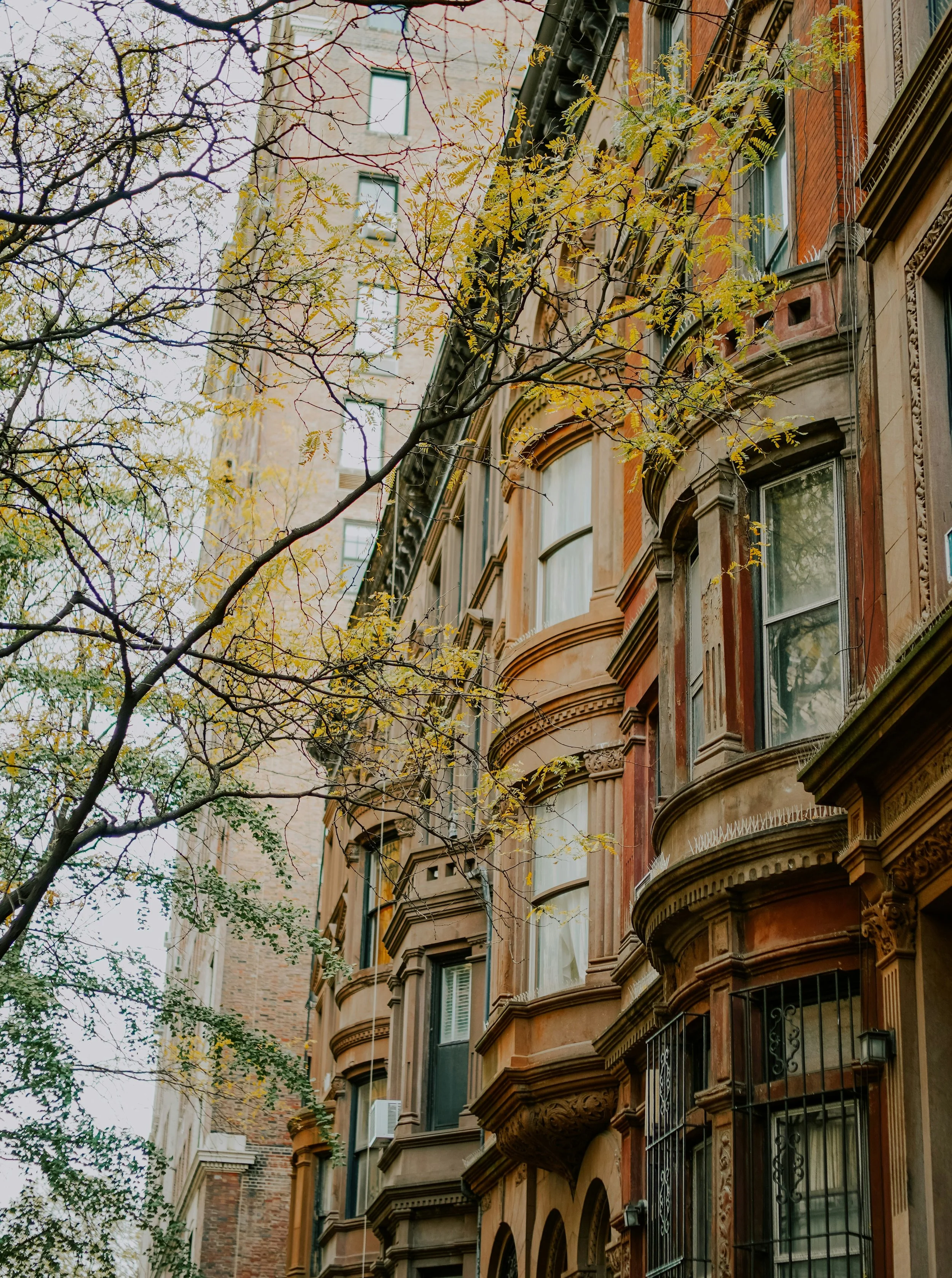 An upward view of a historic brownstone building with ornate architectural details and large windows, partially obscured by tree branches with yellow leaves.