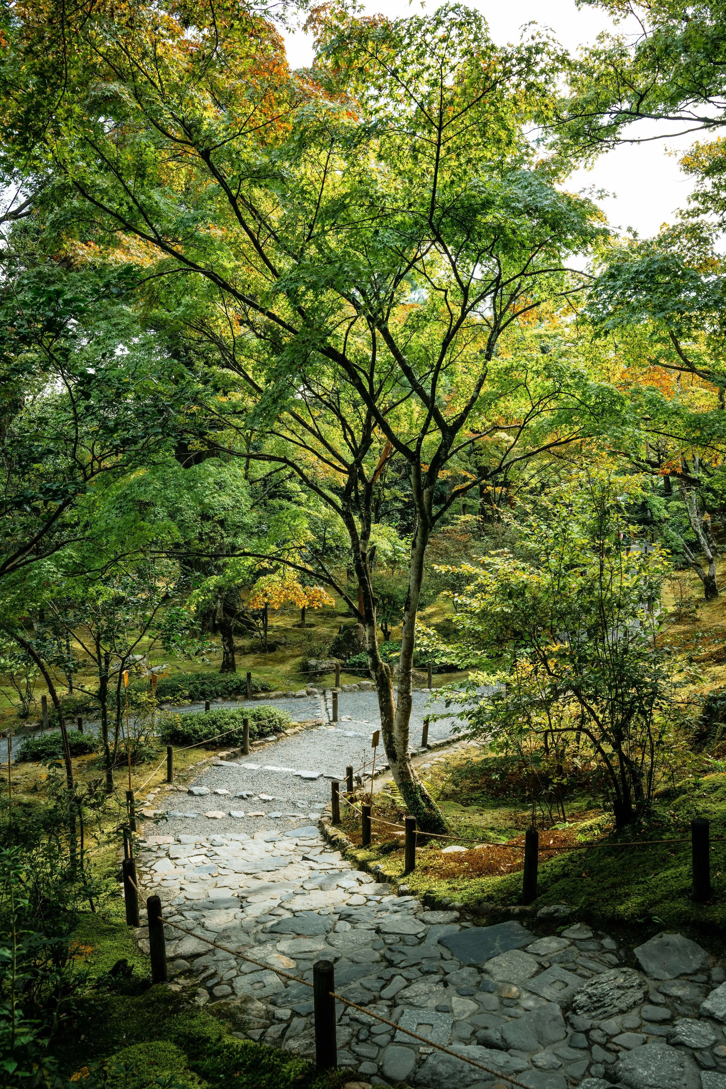 A stone pathway winding through a lush green park with trees showing early signs of autumn. The scene is outdoors, with a gravel border and small wooden posts along the path.