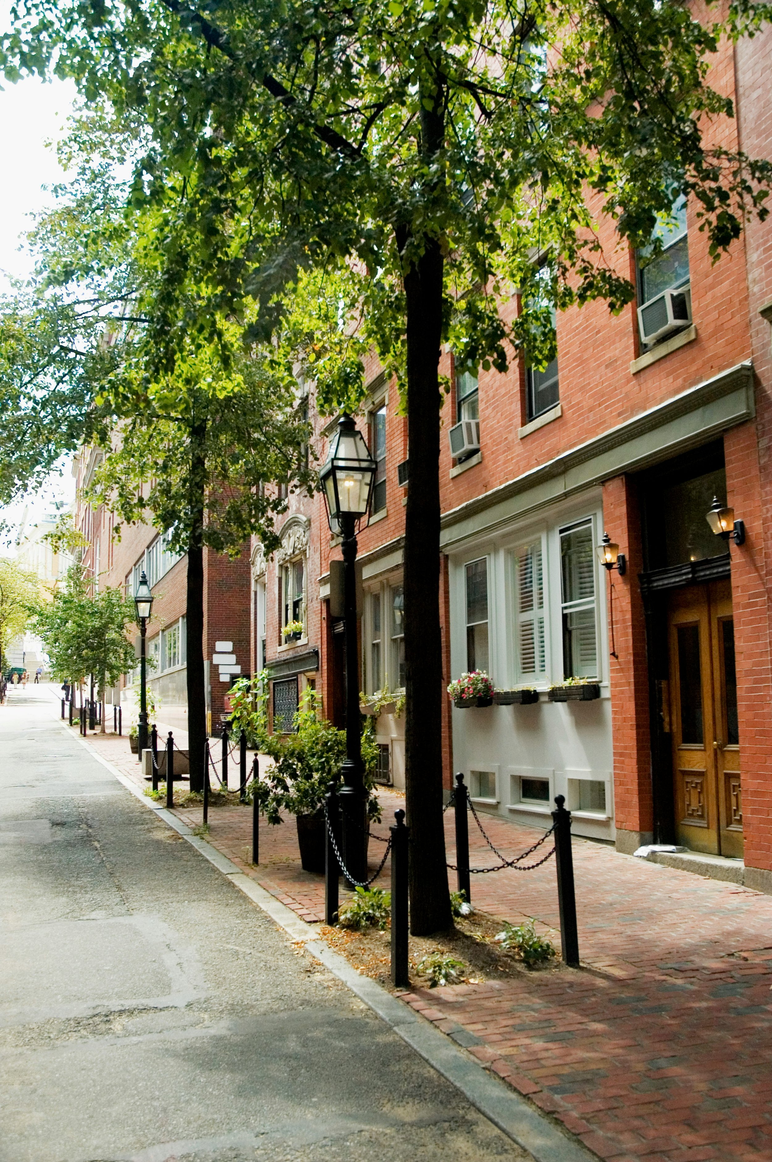 A quiet city sidewalk lined with trees, lamp posts, and red brick buildings with windows and air conditioning units. Some windows have flower boxes. There is a small fence along the sidewalk and trees provide shade.