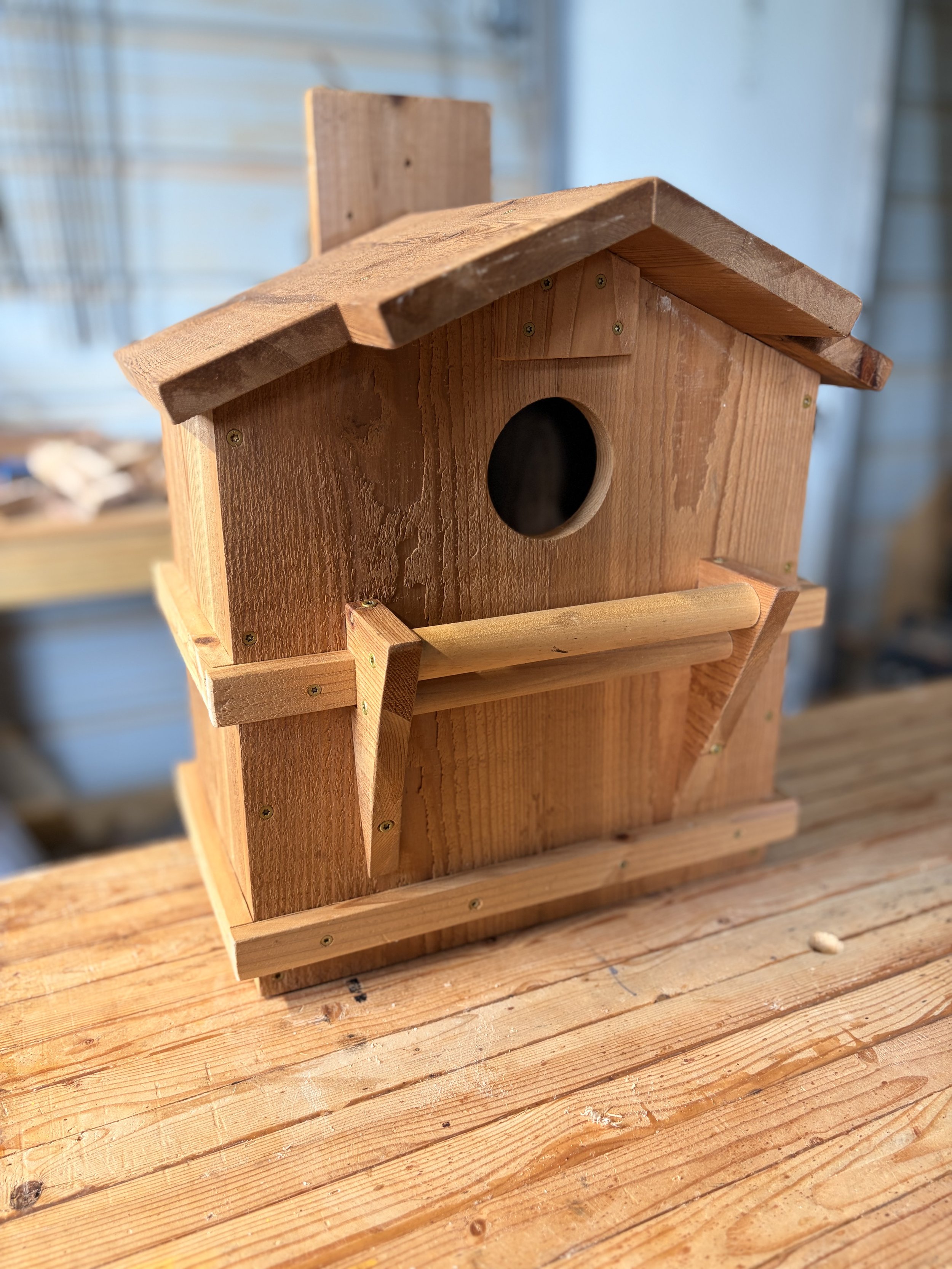 Screech Owl House
