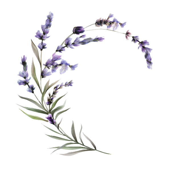 Watercolor illustration of lavender flowers and leaves forming a decorative border.