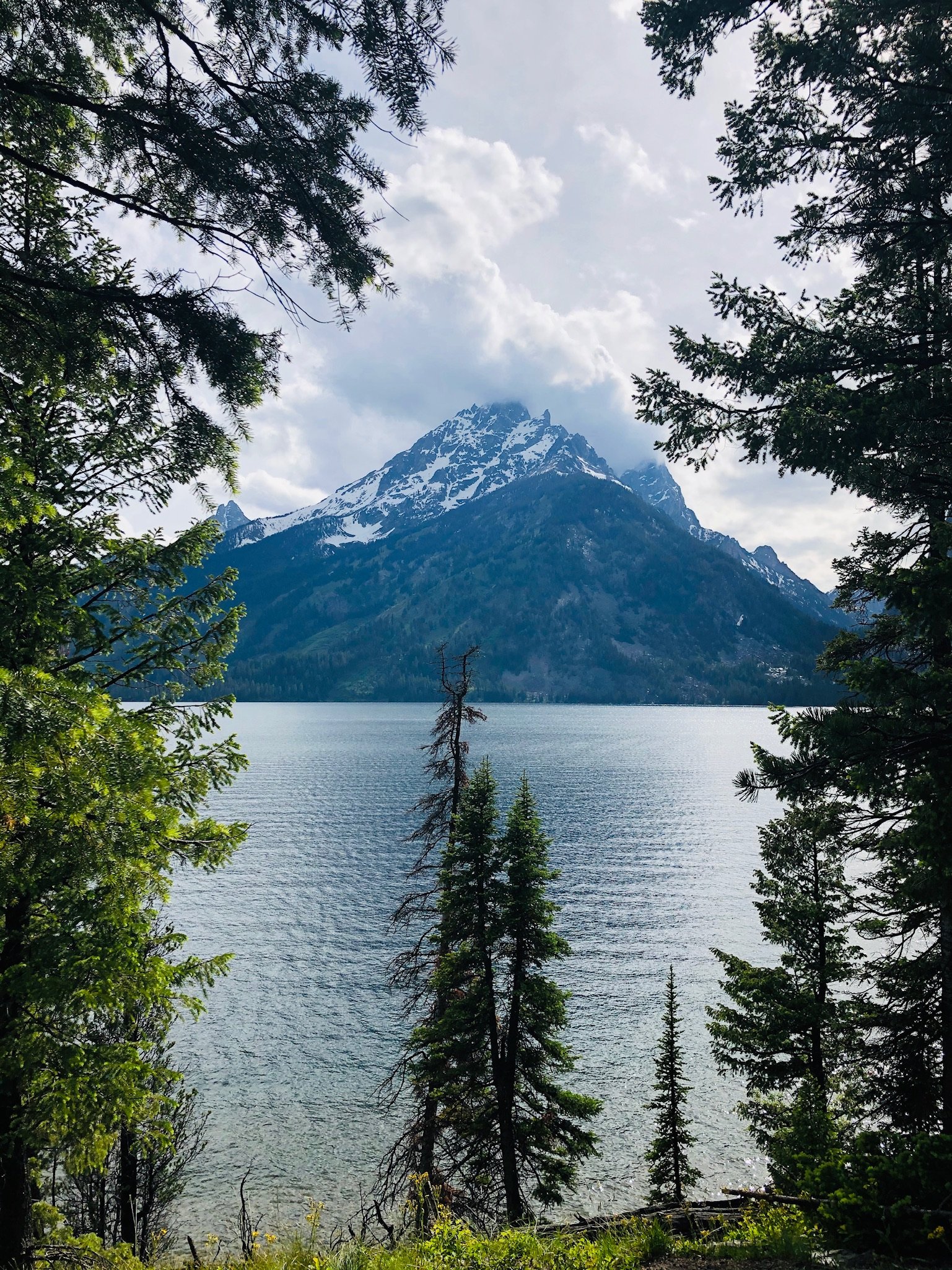 A scenic view of a mountain with snow on its peak, partially obscured by clouds, seen through a frame of green trees with a lake in the foreground. Experiencing the solace and peace of nature.